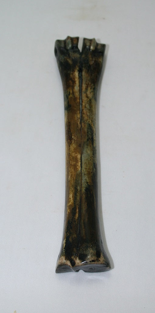 NB601GS17 Wildebeest Bone