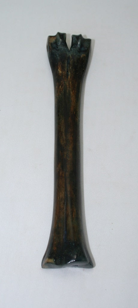 NB601GS19 Wildebeest Bone