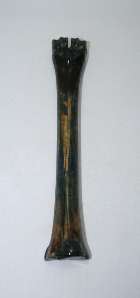 NB601GS22 Wildebeest Bone