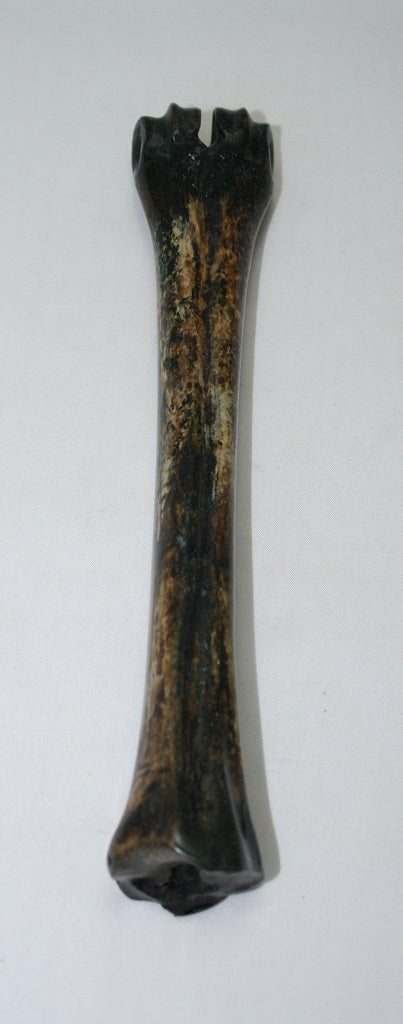 NB601GS24 Wildebeest Bone