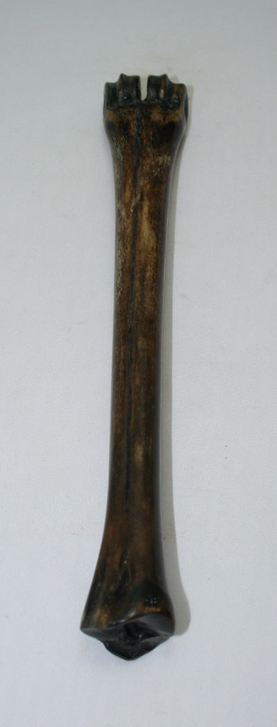 NB601GS26 Wildebeest Bone