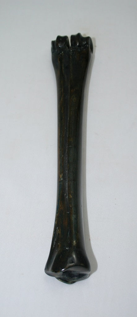 NB601GS28 Wildebeest Bone