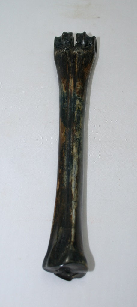 NB601GS30 Wildebeest Bone