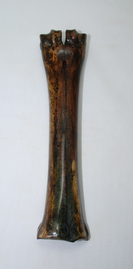 NB601GS5 Wildebeest Bone