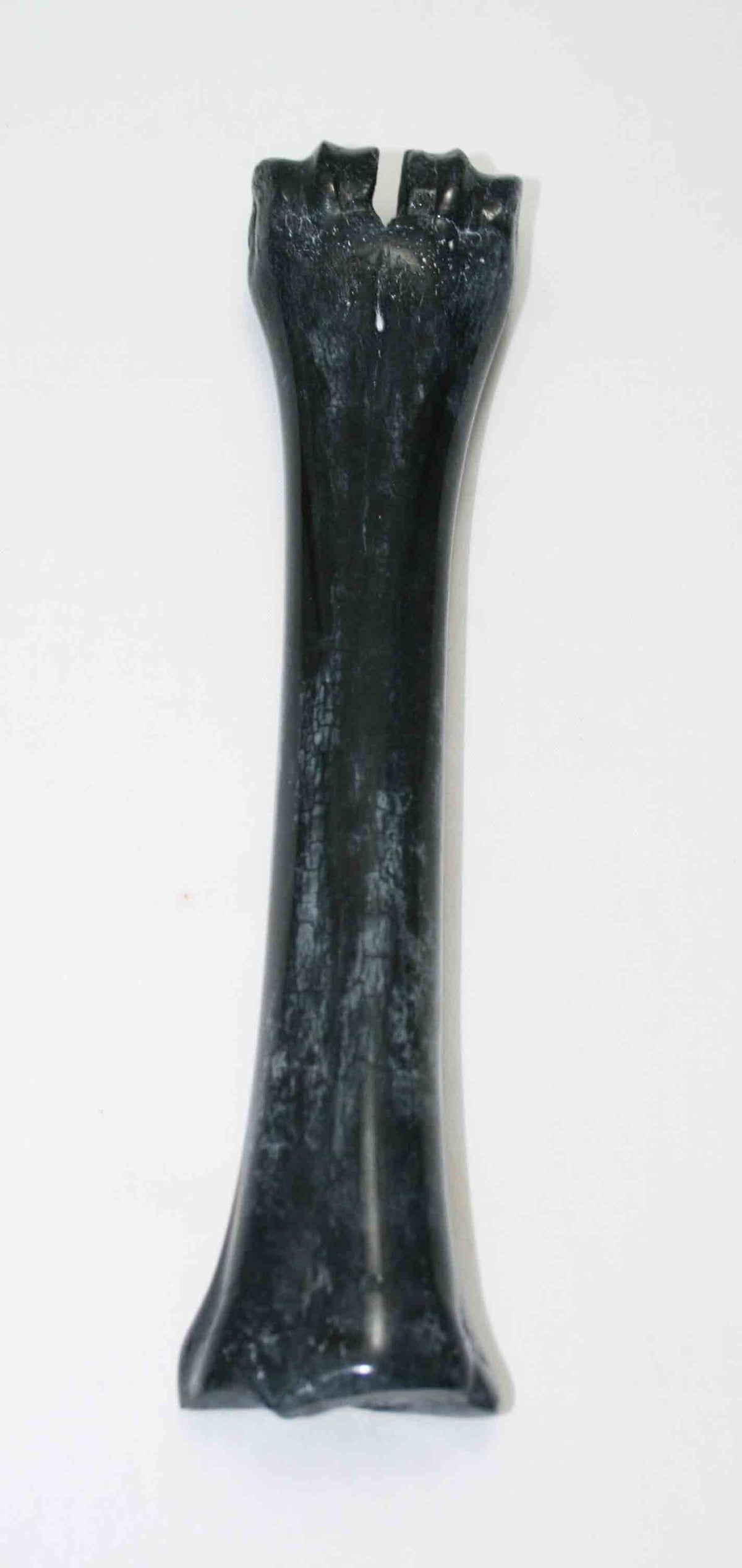 NB601JS14 Wildebeest Bone