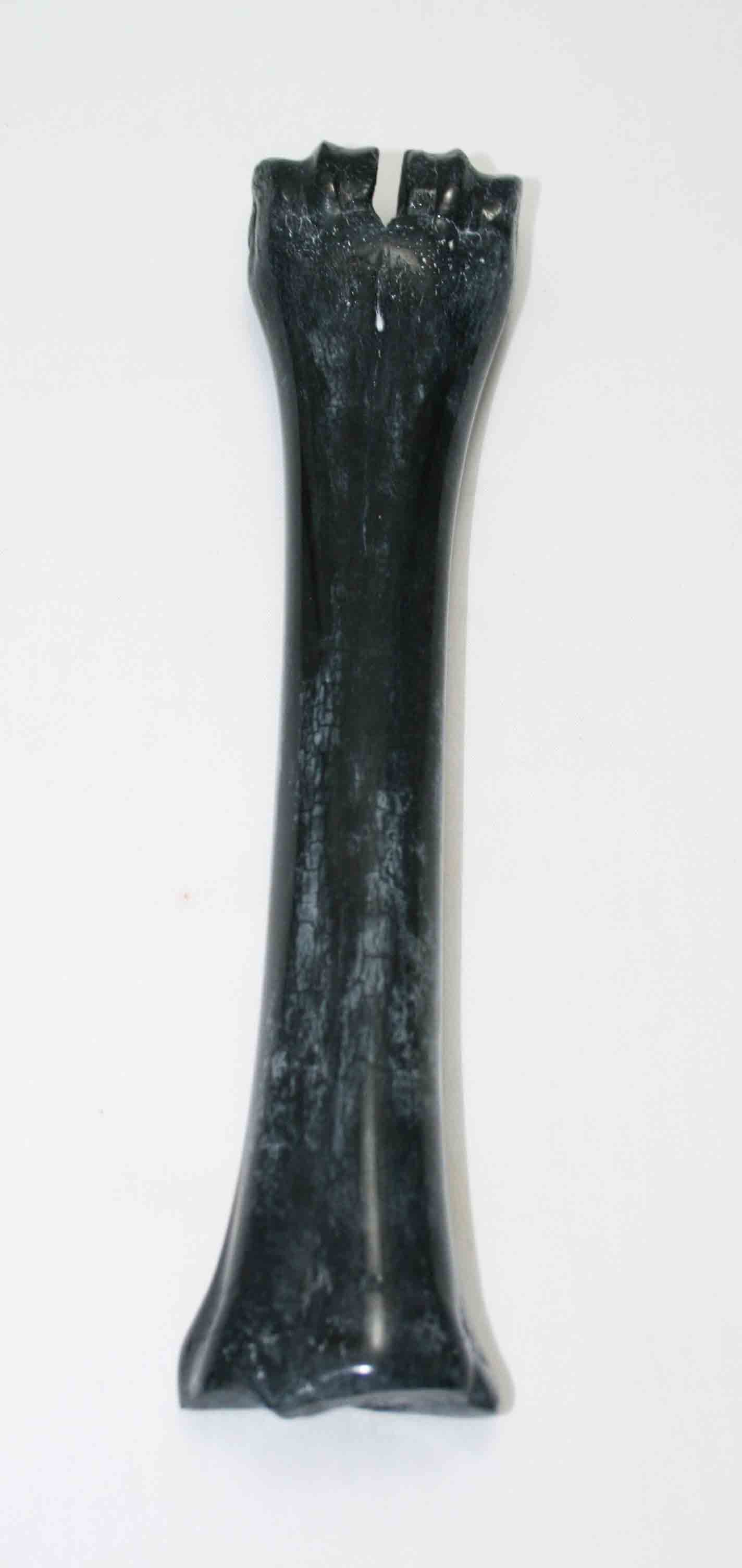 NB601JS14 Wildebeest Bone