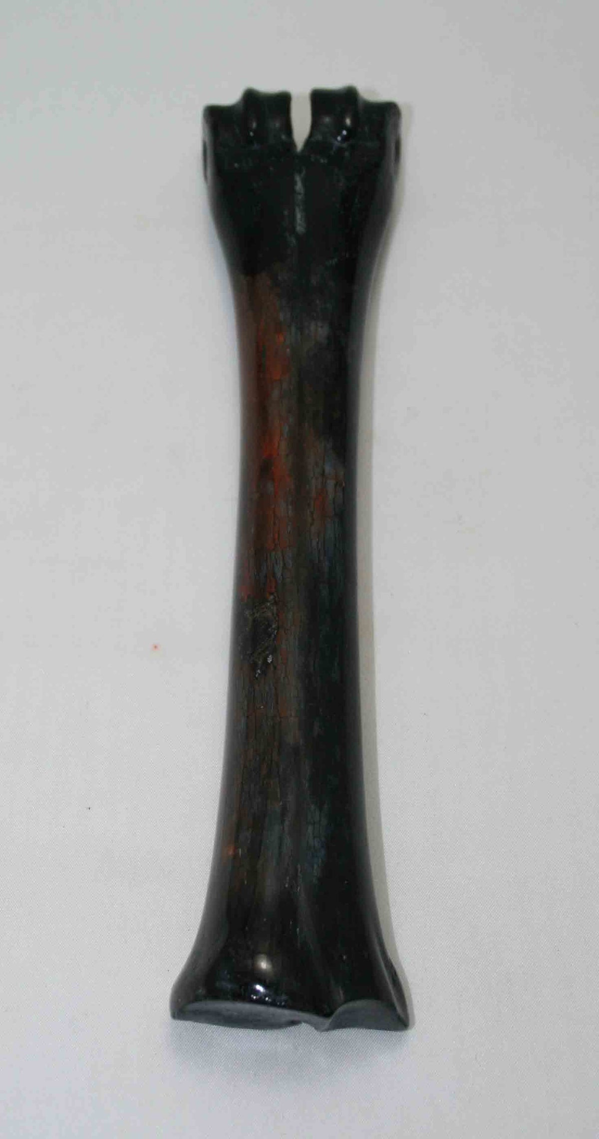 NB601JS15 Wildebeest Bone