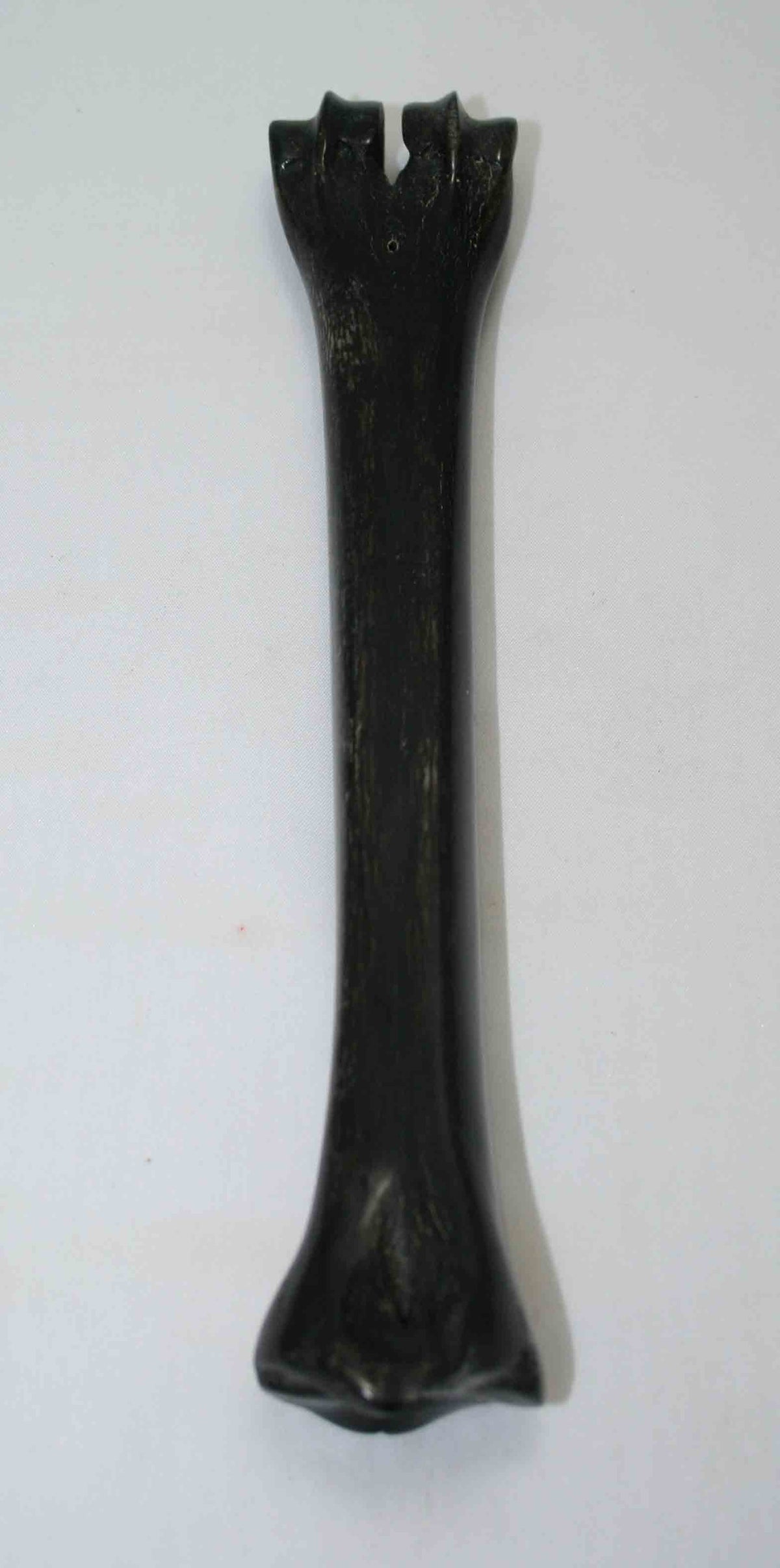 NB601JS16 Wildebeest Bone