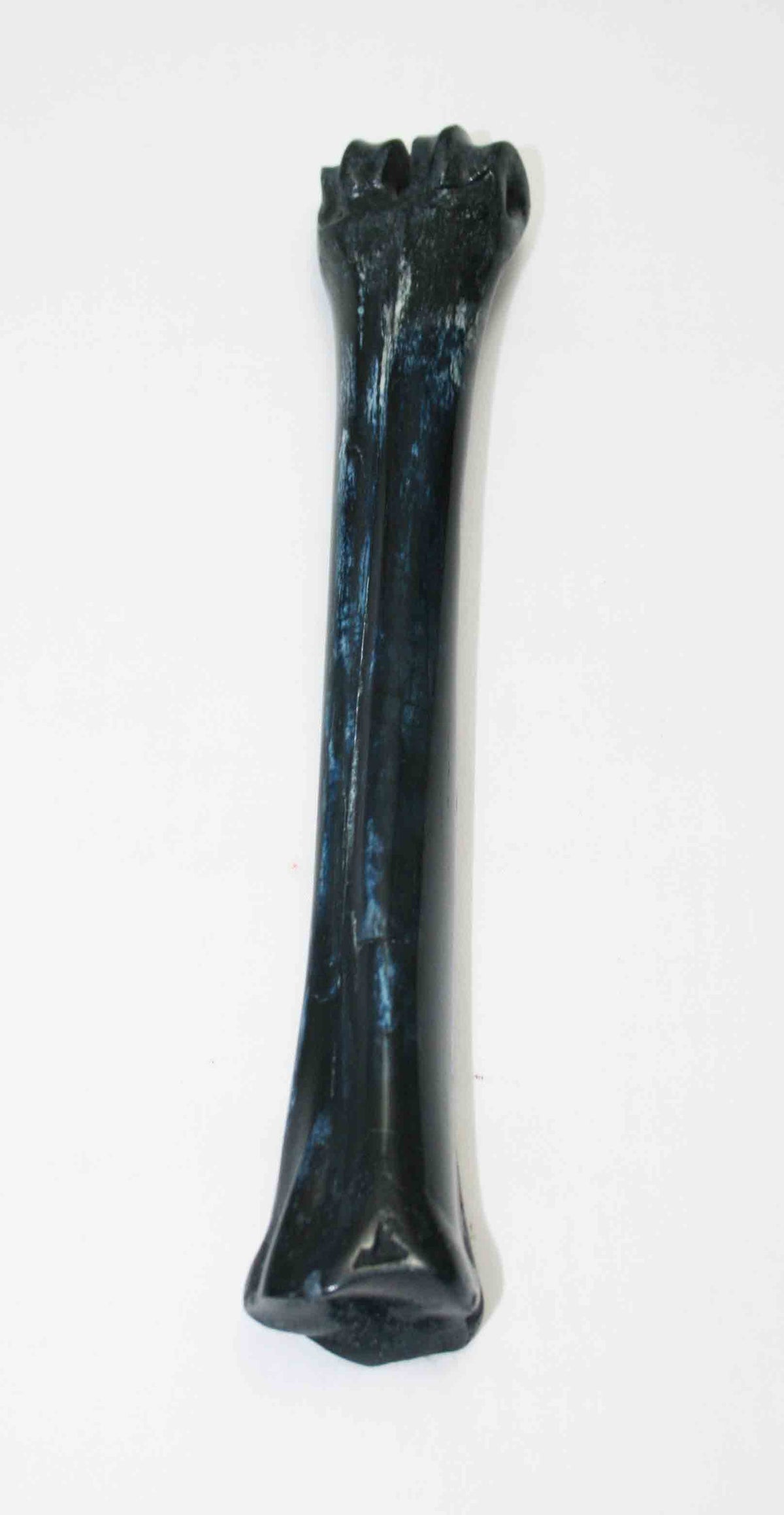 NB601JS17 Wildebeest Bone