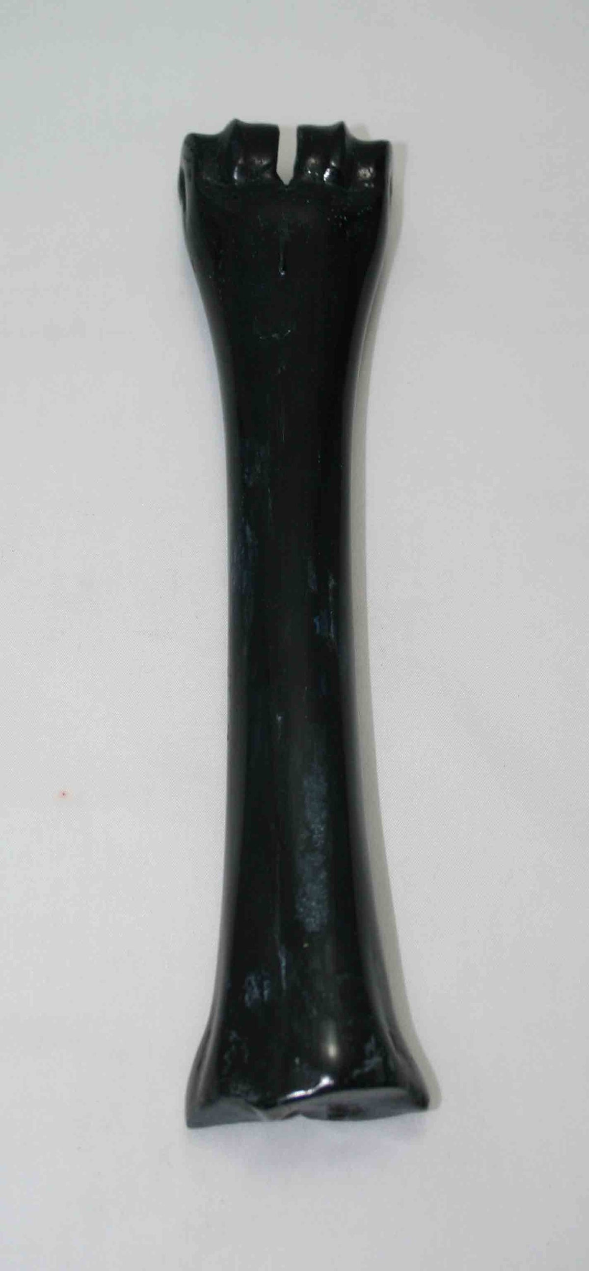 NB601JS18 Wildebeest Bone