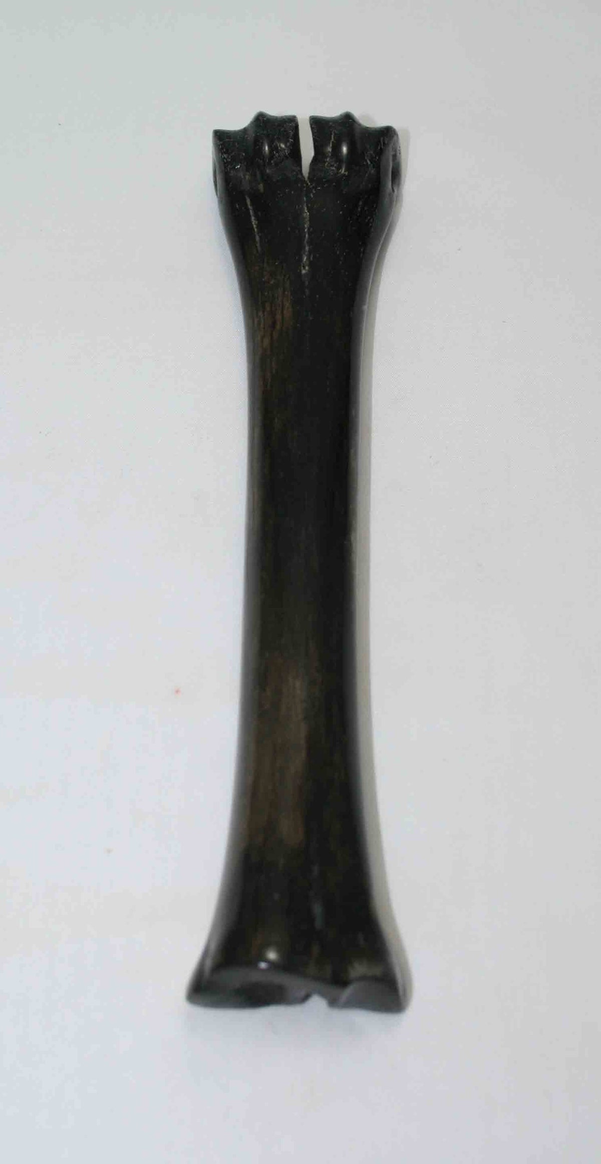 NB601JS19 Wildebeest Bone