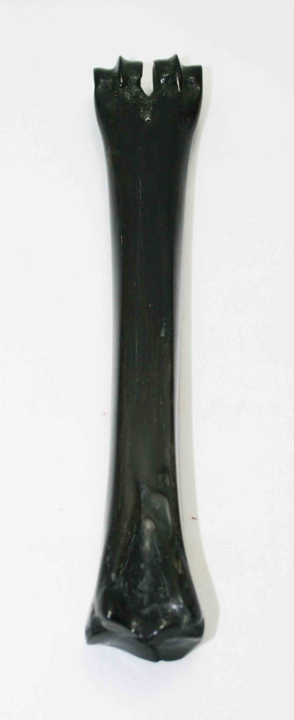 NB601JS1 Wildebeest Bone