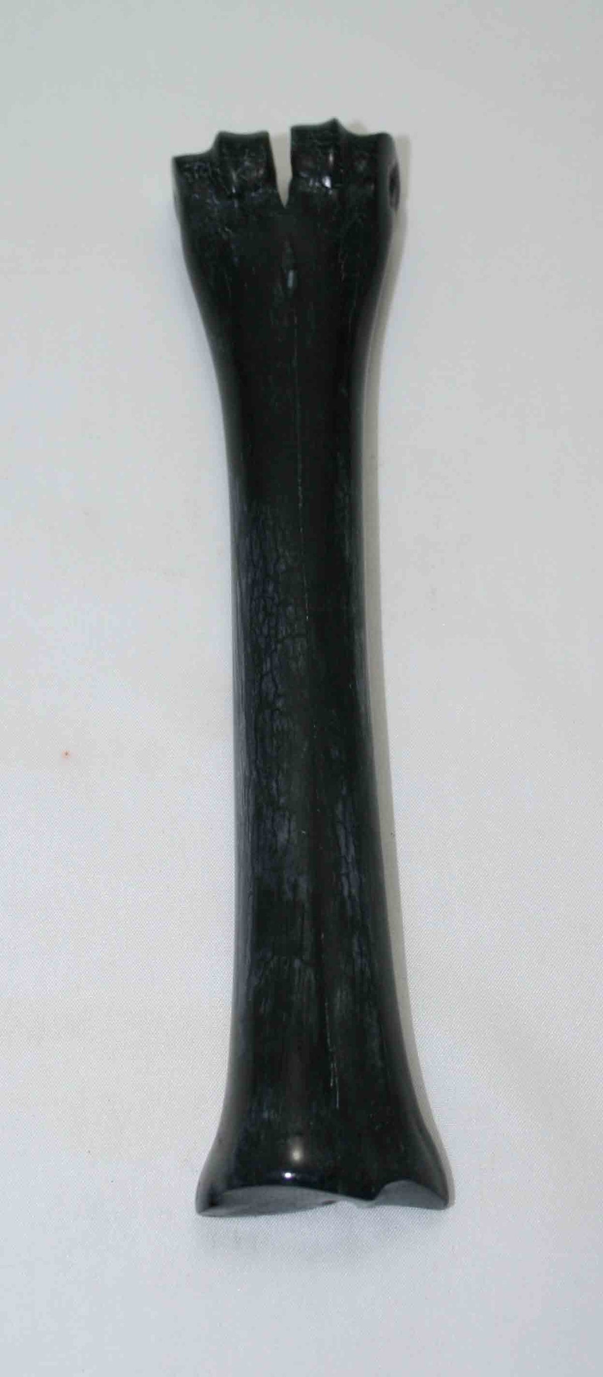 NB601JS20 Wildebeest Bone