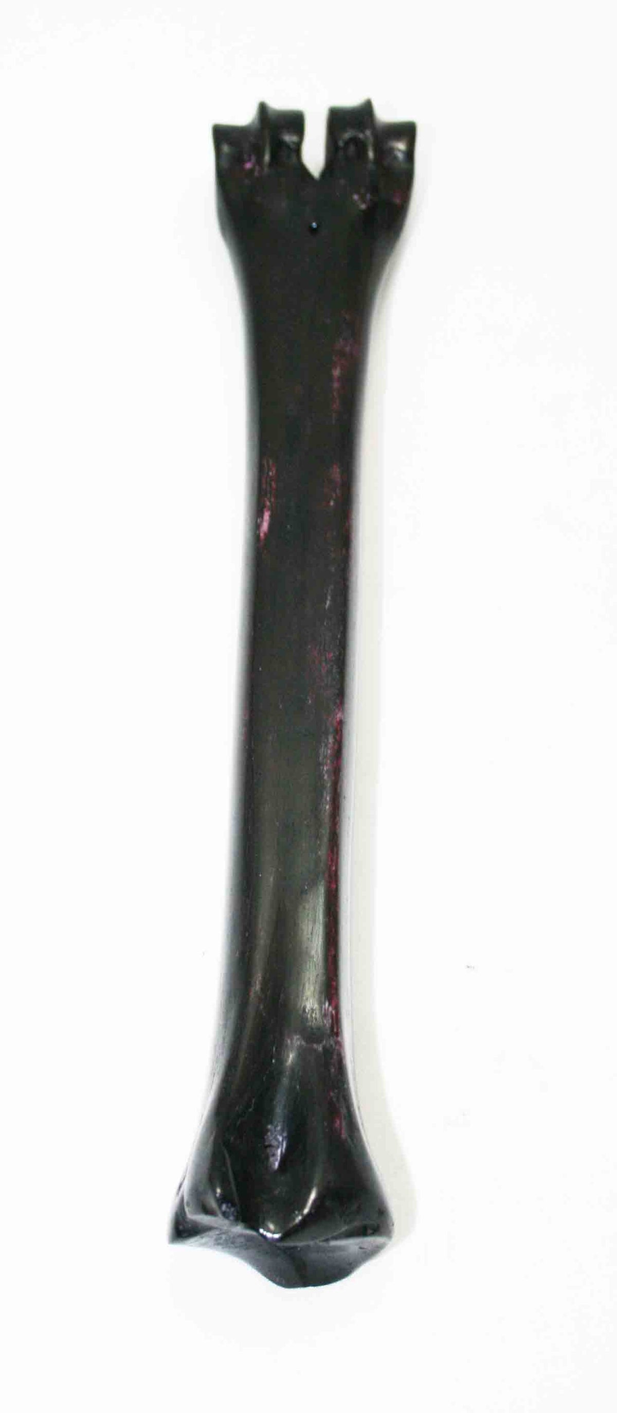 NB601JS2 Wildebeest Bone