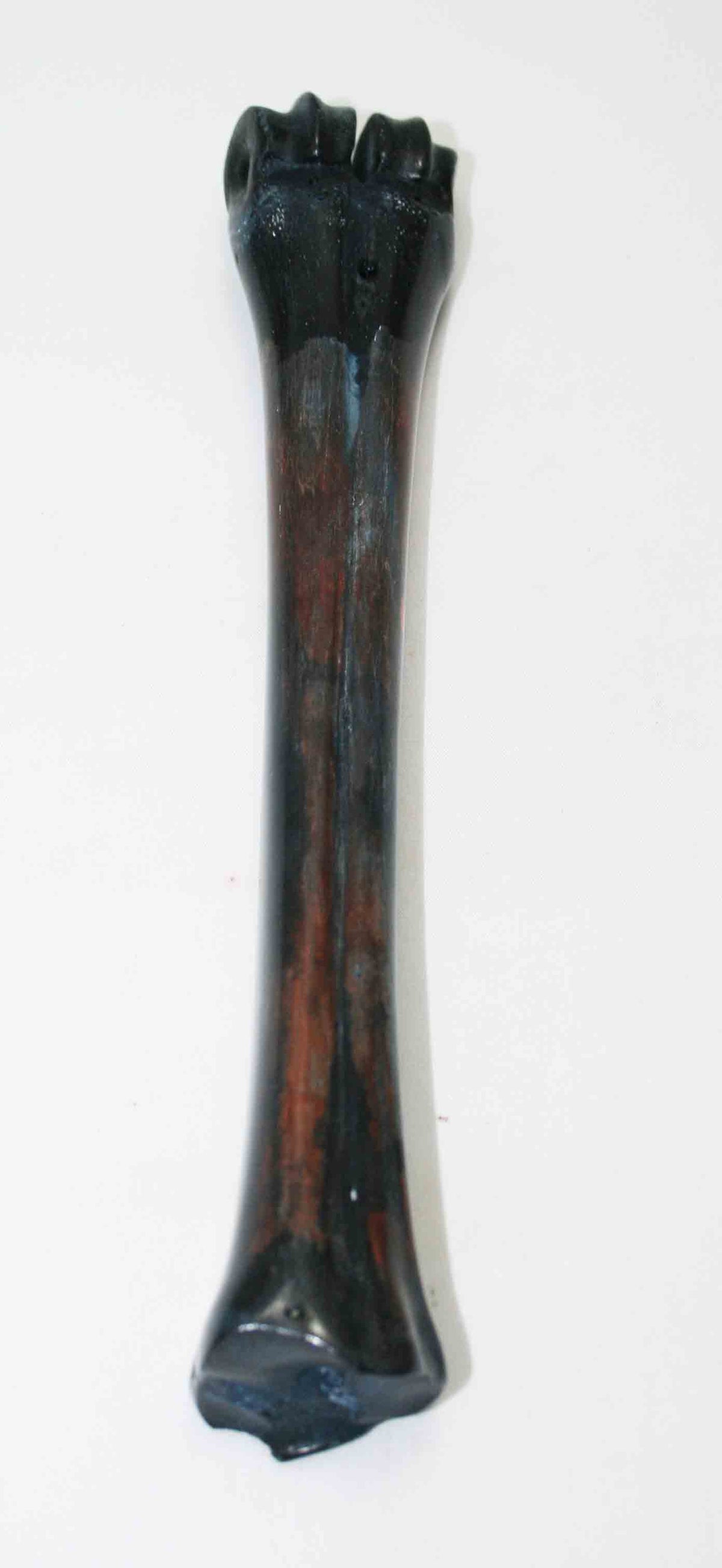 NB601JS4 Wildebeest Bone