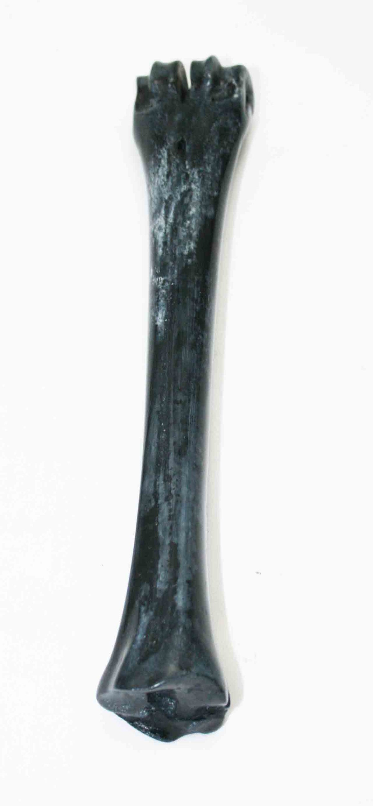 NB601JS6 Wildebeest Bone