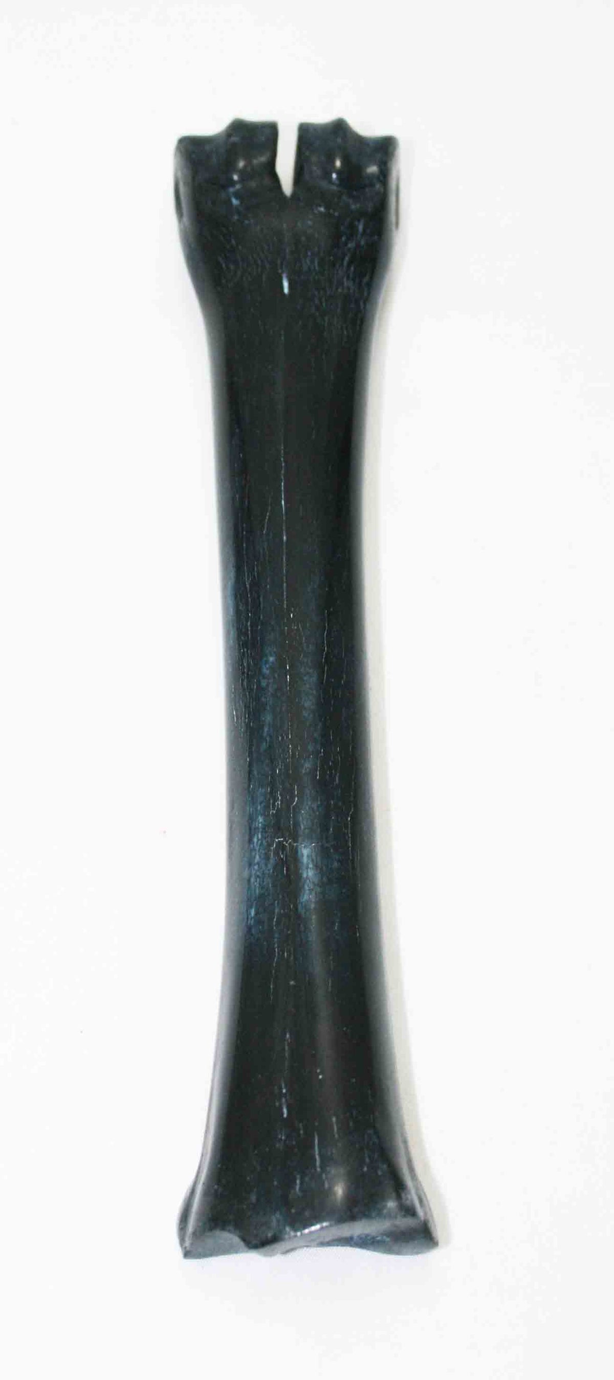 NB601JS8 Wildebeest Bone