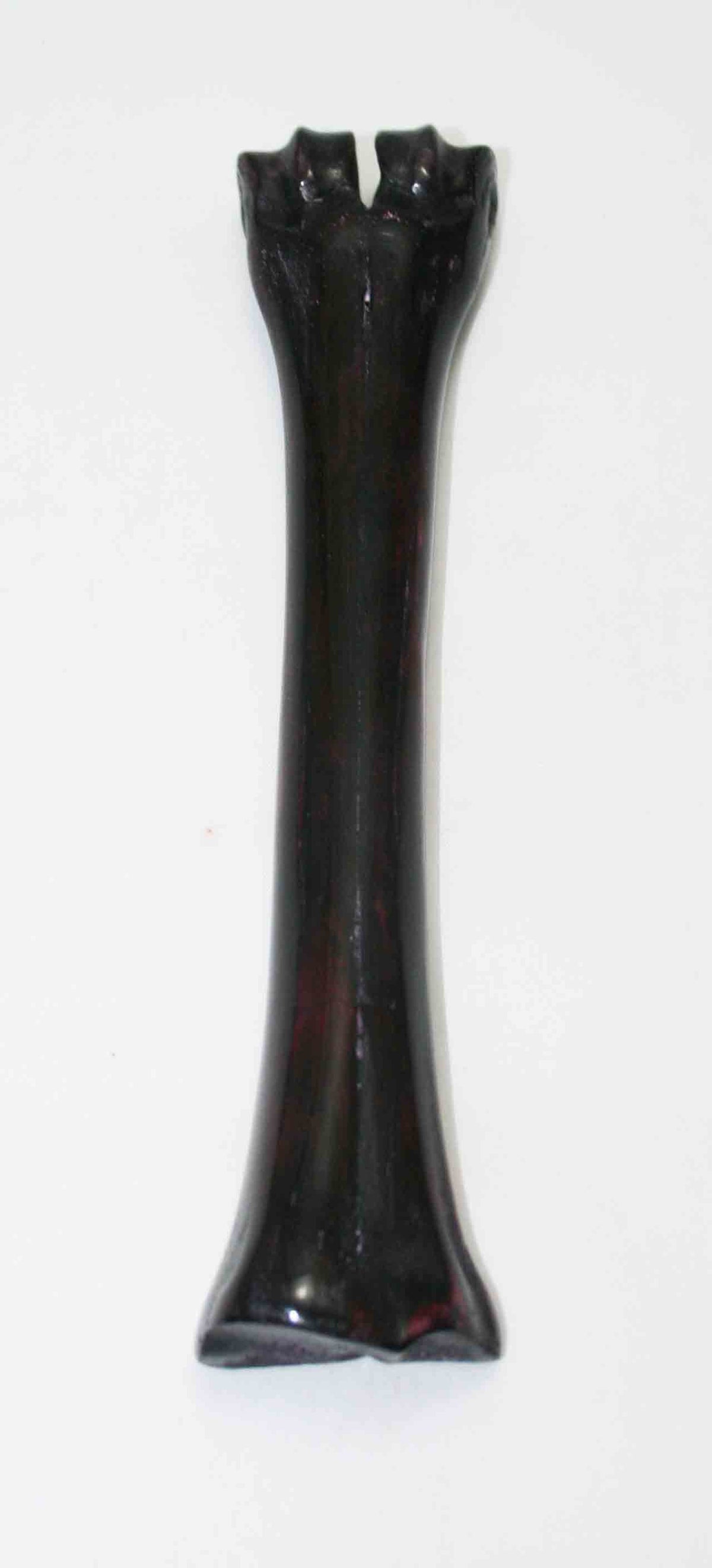 NB601JS9 Wildebeest Bone