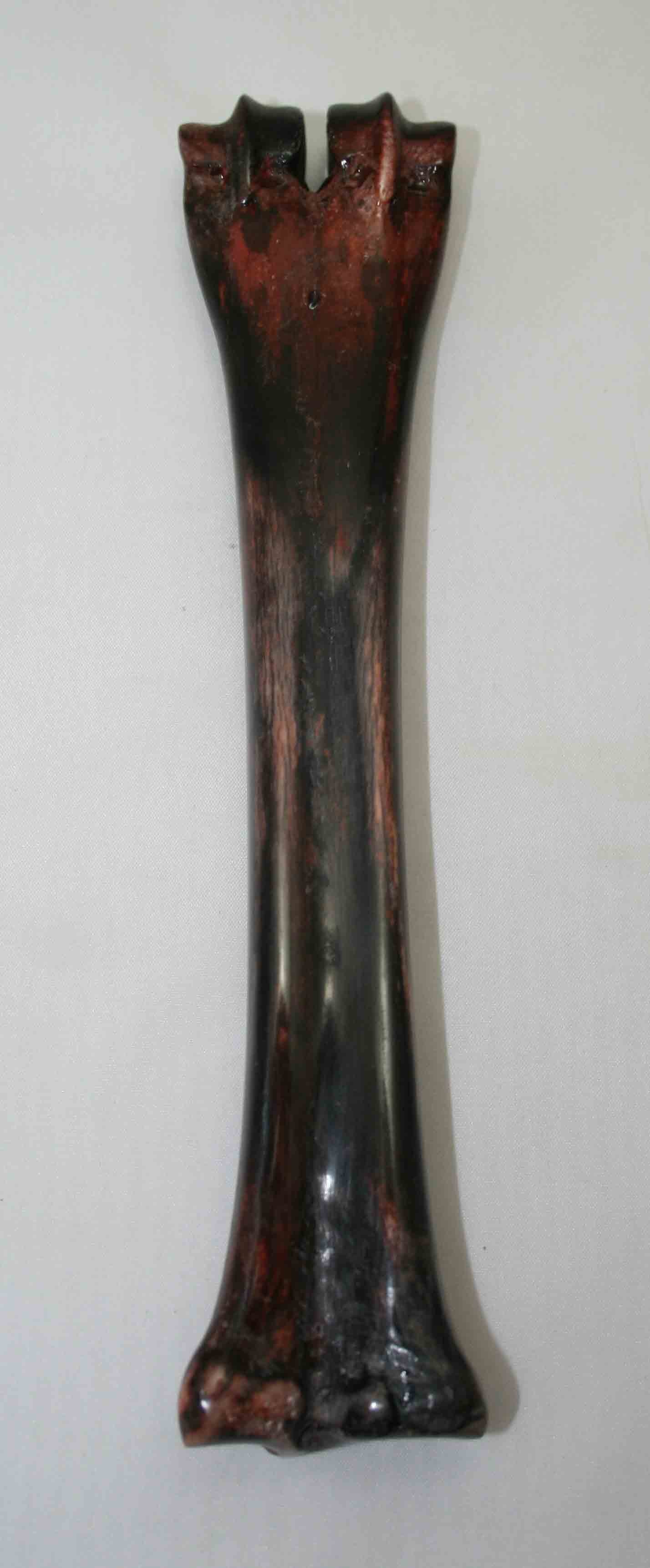 NB601LG12 Wildebeest Bone