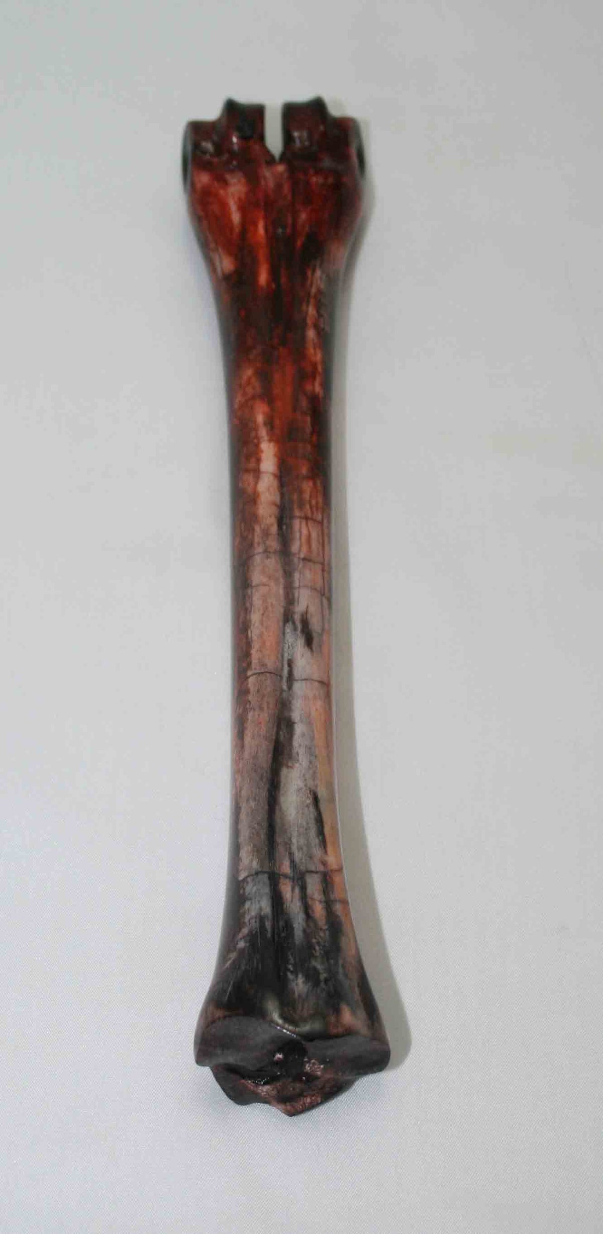 NB601LG24 Wildebeest Bone