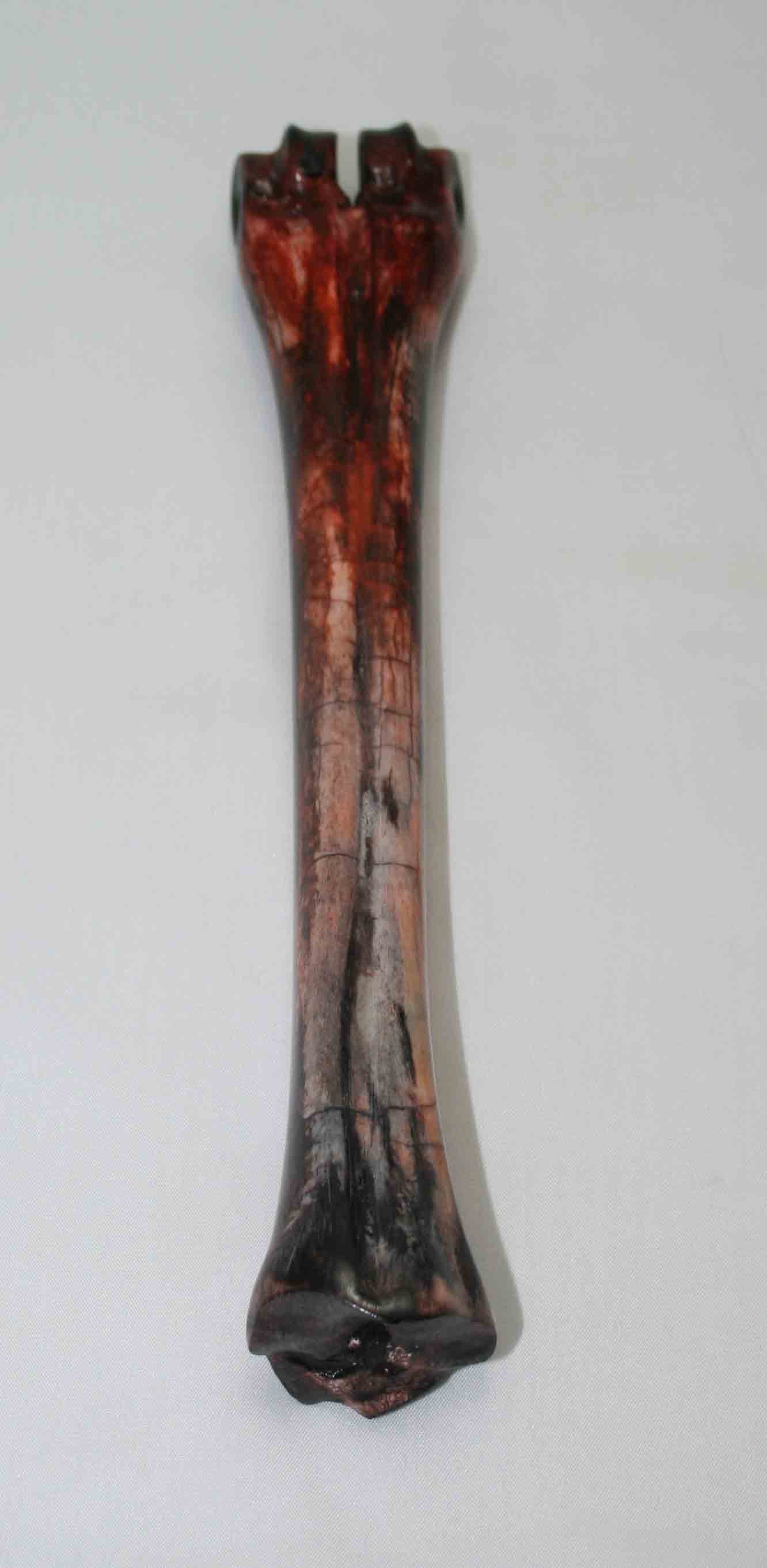 NB601LG24 Wildebeest Bone