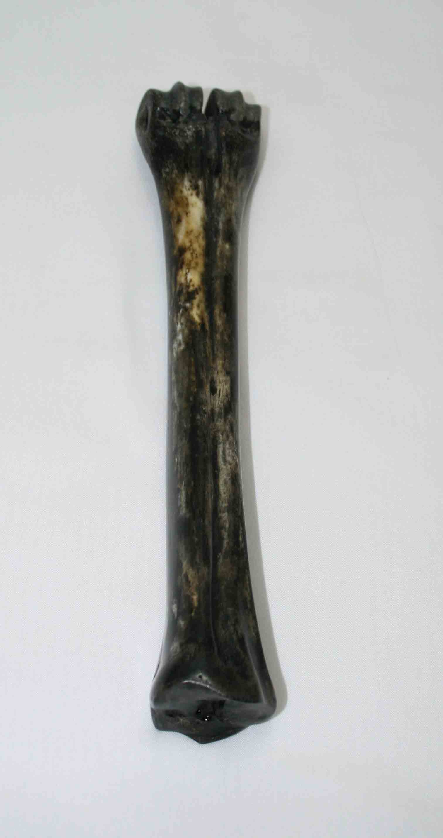 NB601LG28 Wildebeest Bone