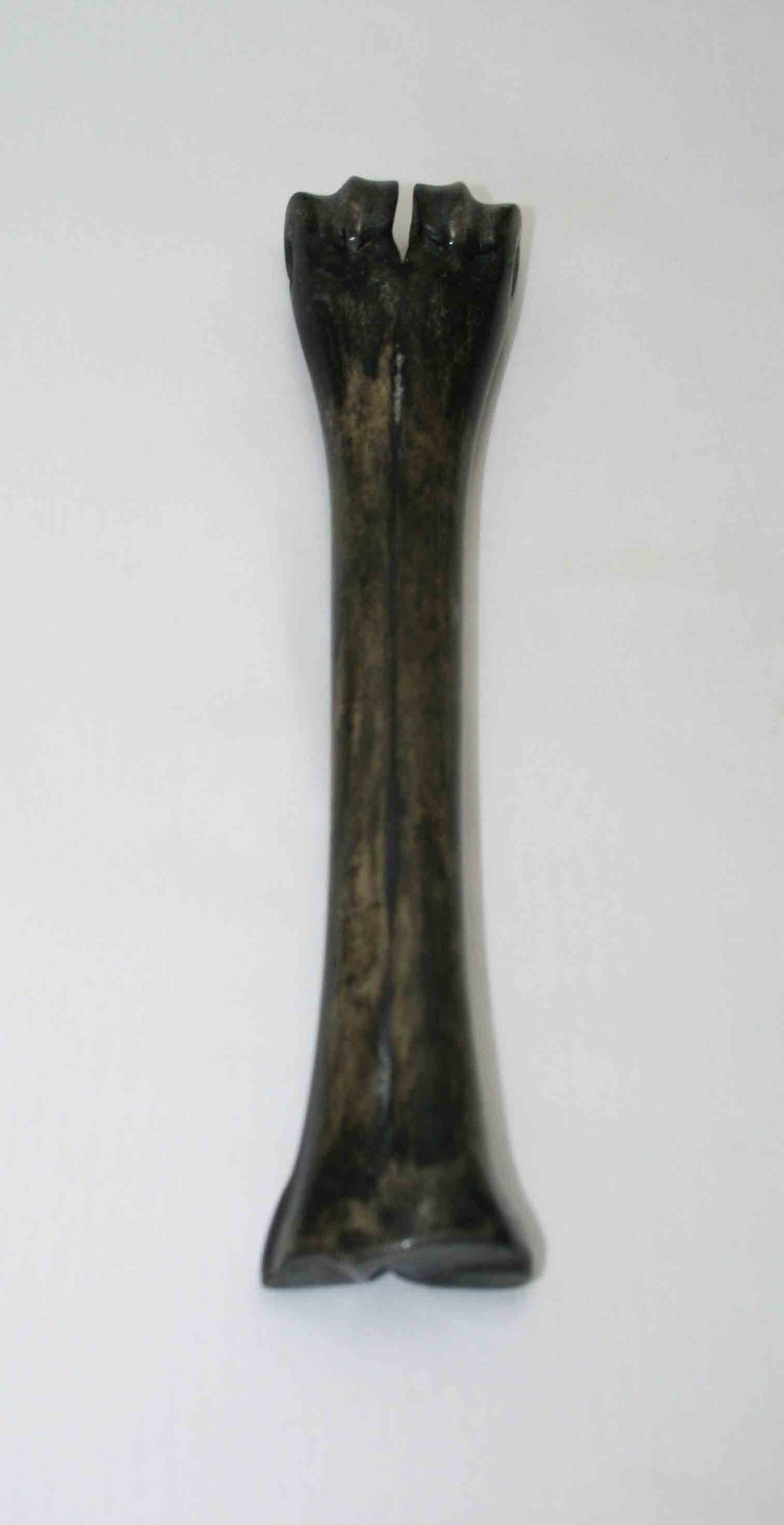 NB601LG30 Wildebeest Bone