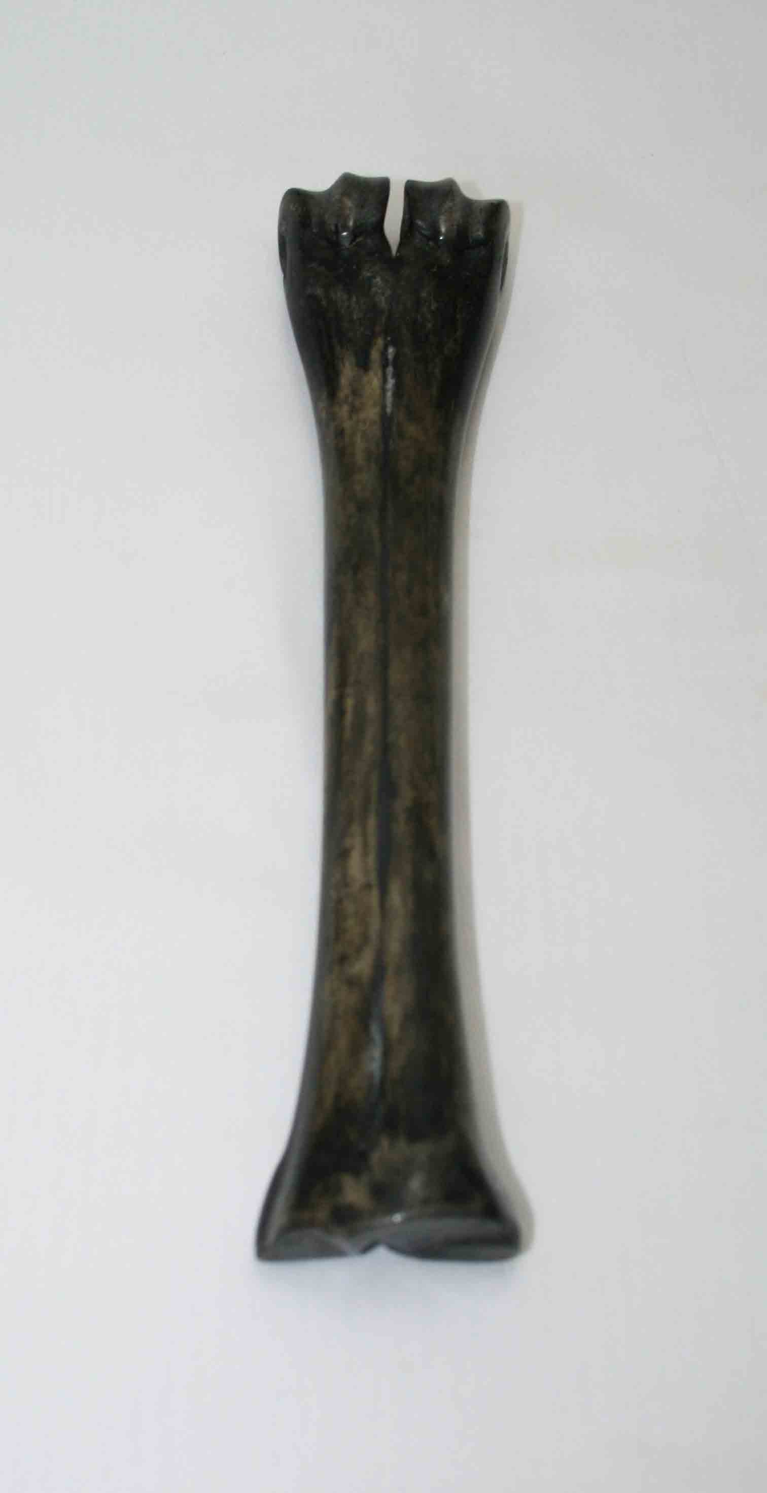 NB601LG30 Wildebeest Bone