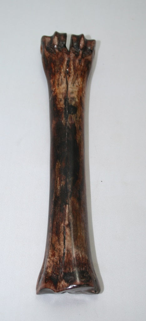 NB601MAN17 Wildebeest Bone