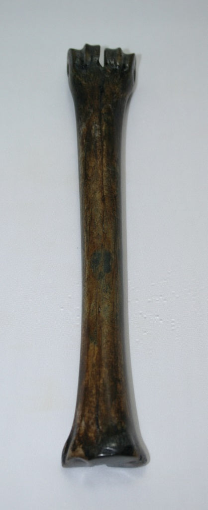 NB601MAN25 Wildebeest Bone