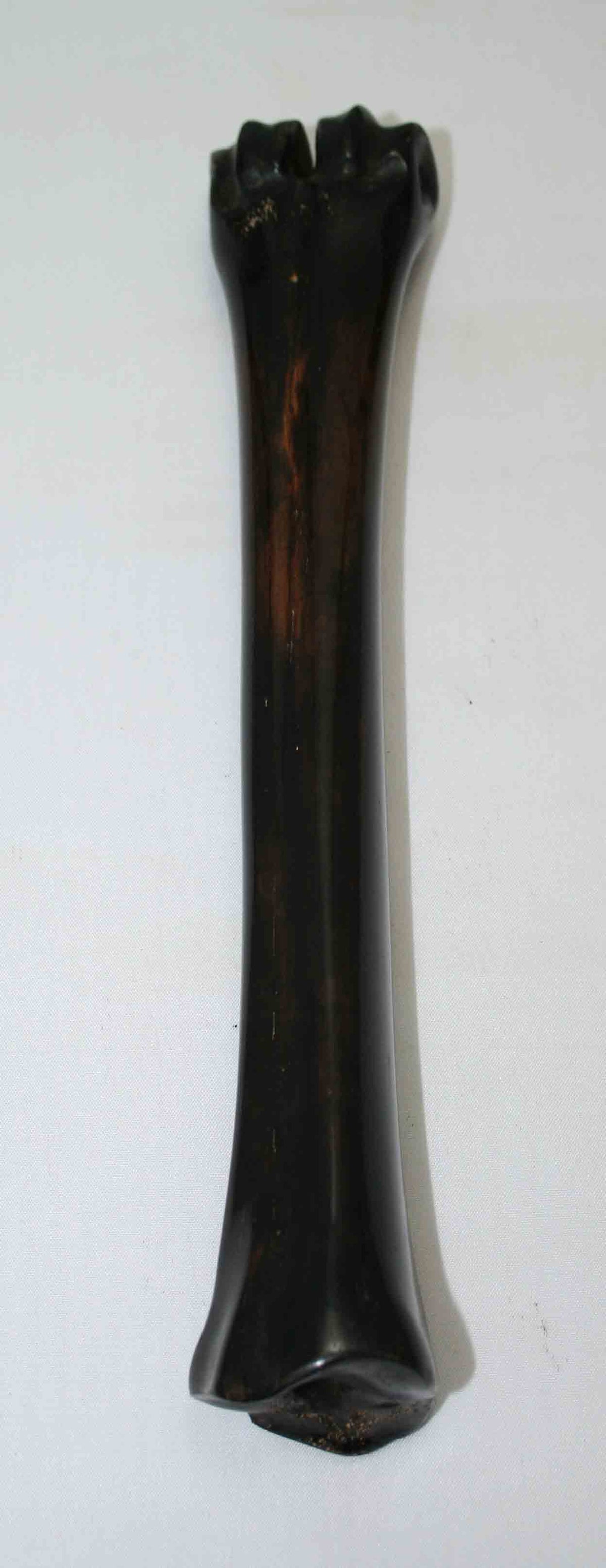 NB601MMA1 Wildebeest Bone