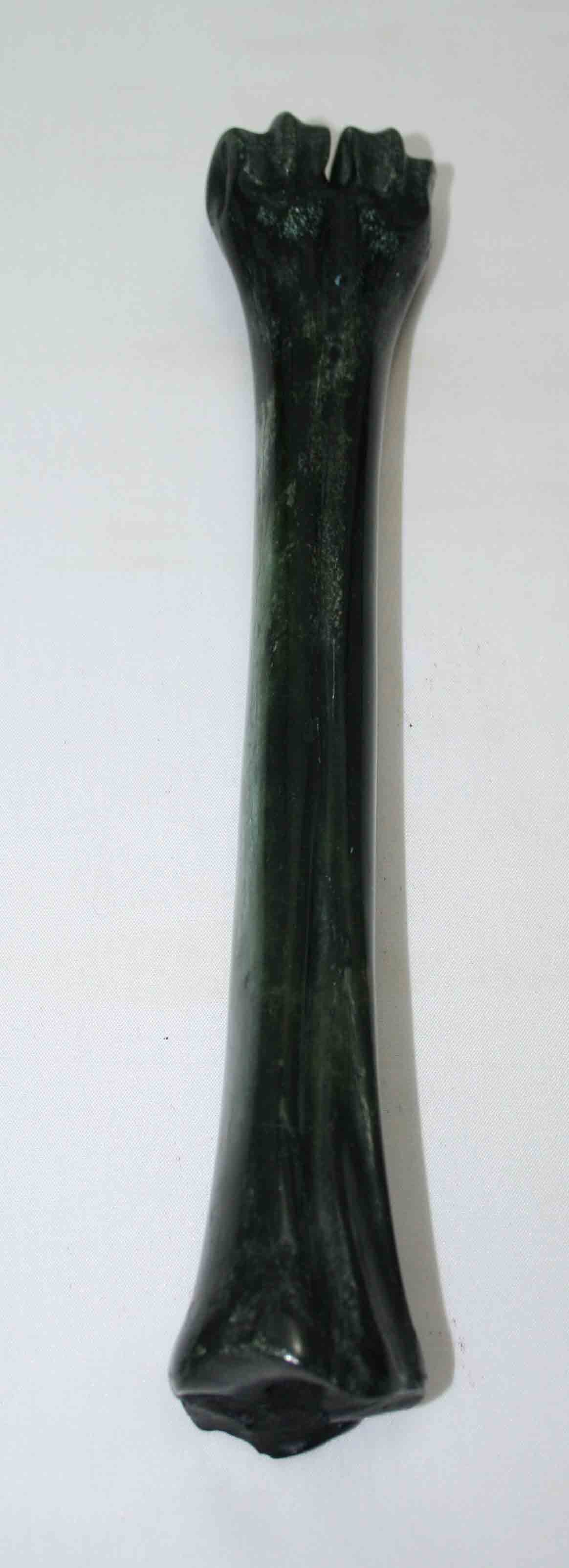 NB601MMA2 Wildebeest Bone