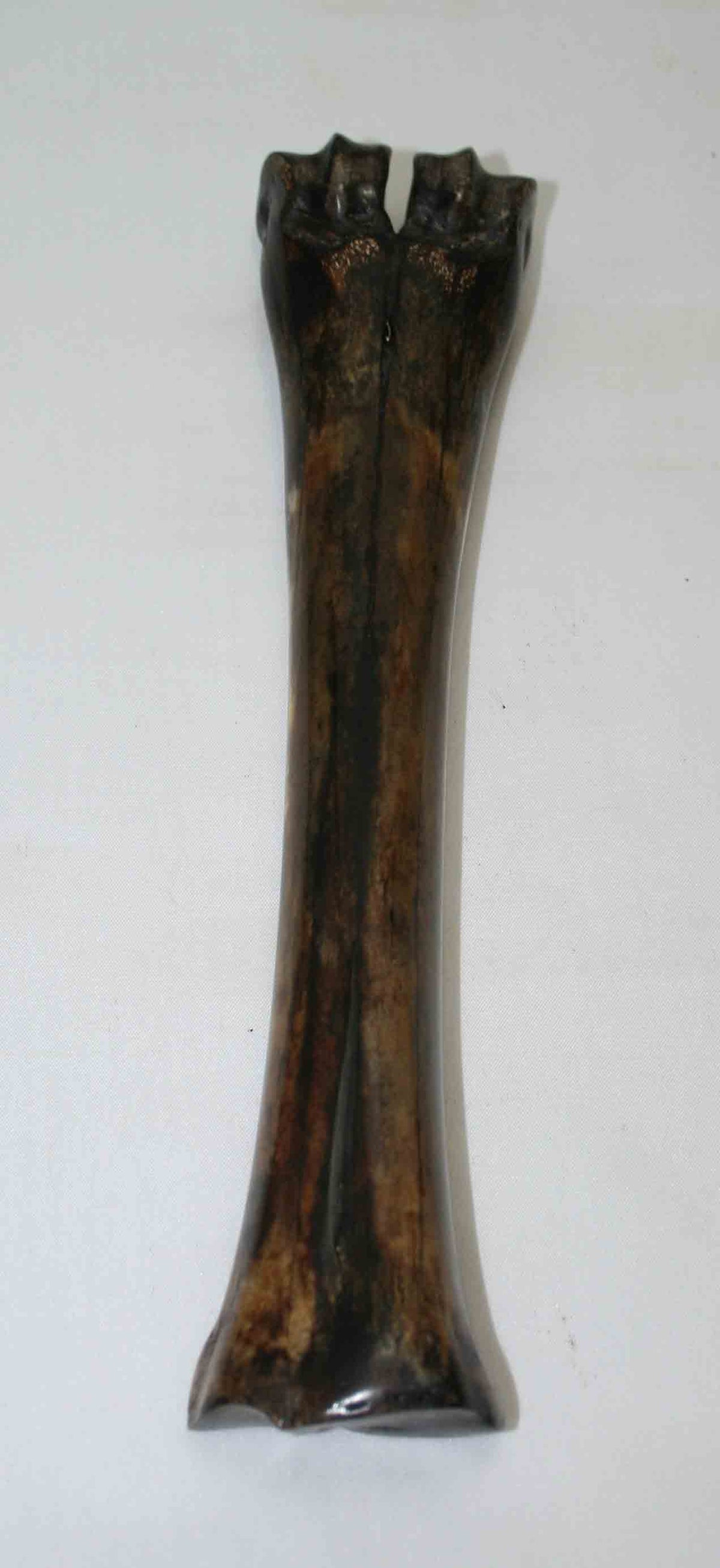 NB601MMA3 Wildebeest Bone