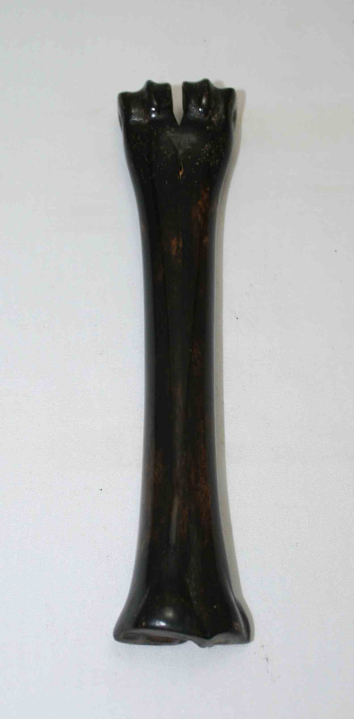 NB601MMA4 Wildebeest Bone