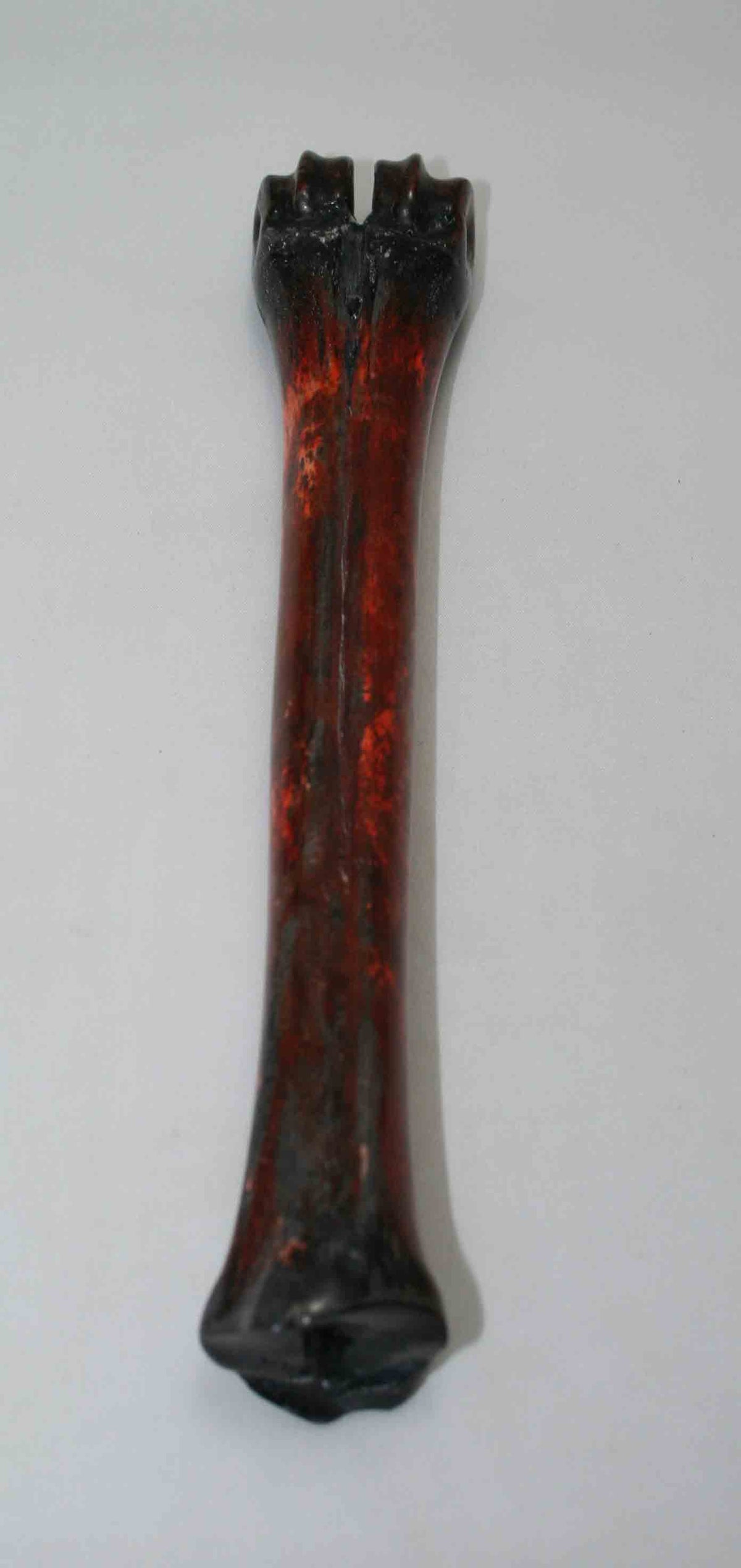 NB601NAM10 Wildebeest Bone