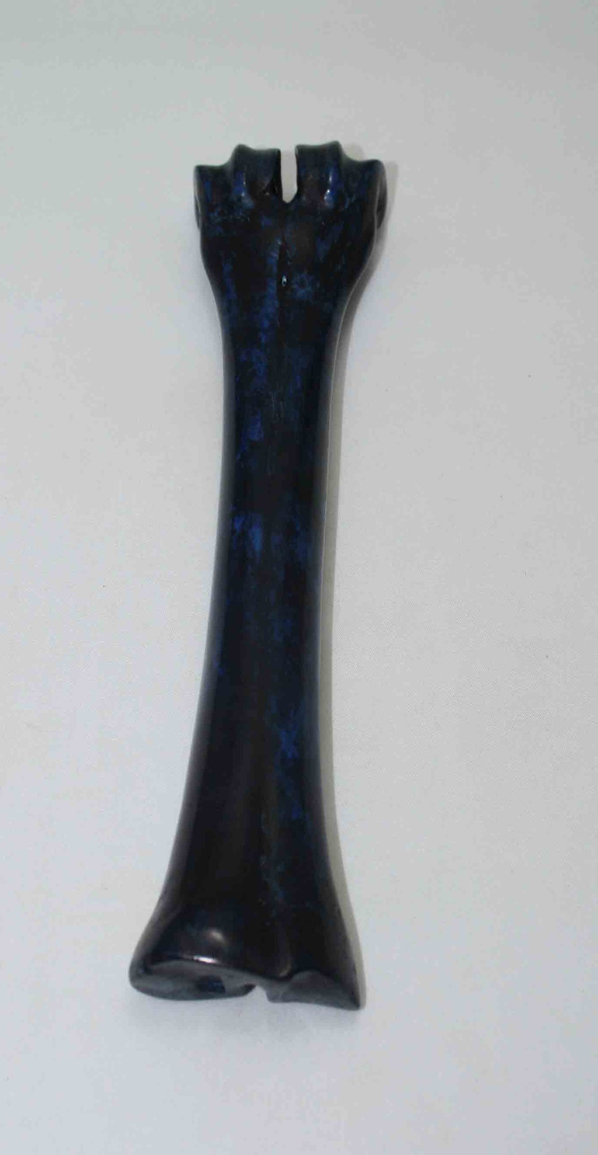 NB601NAM11 Wildebeest Bone