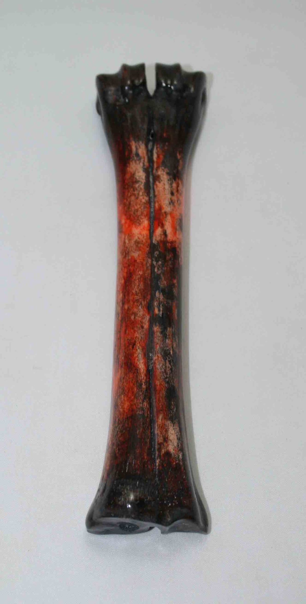 NB601NAM14 Wildebeest Bone