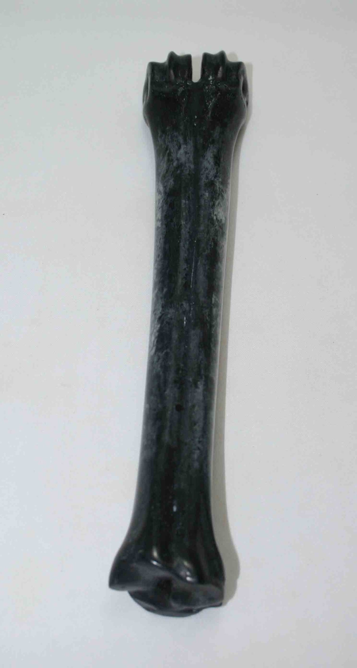 NB601NAM16 Wildebeest Bone