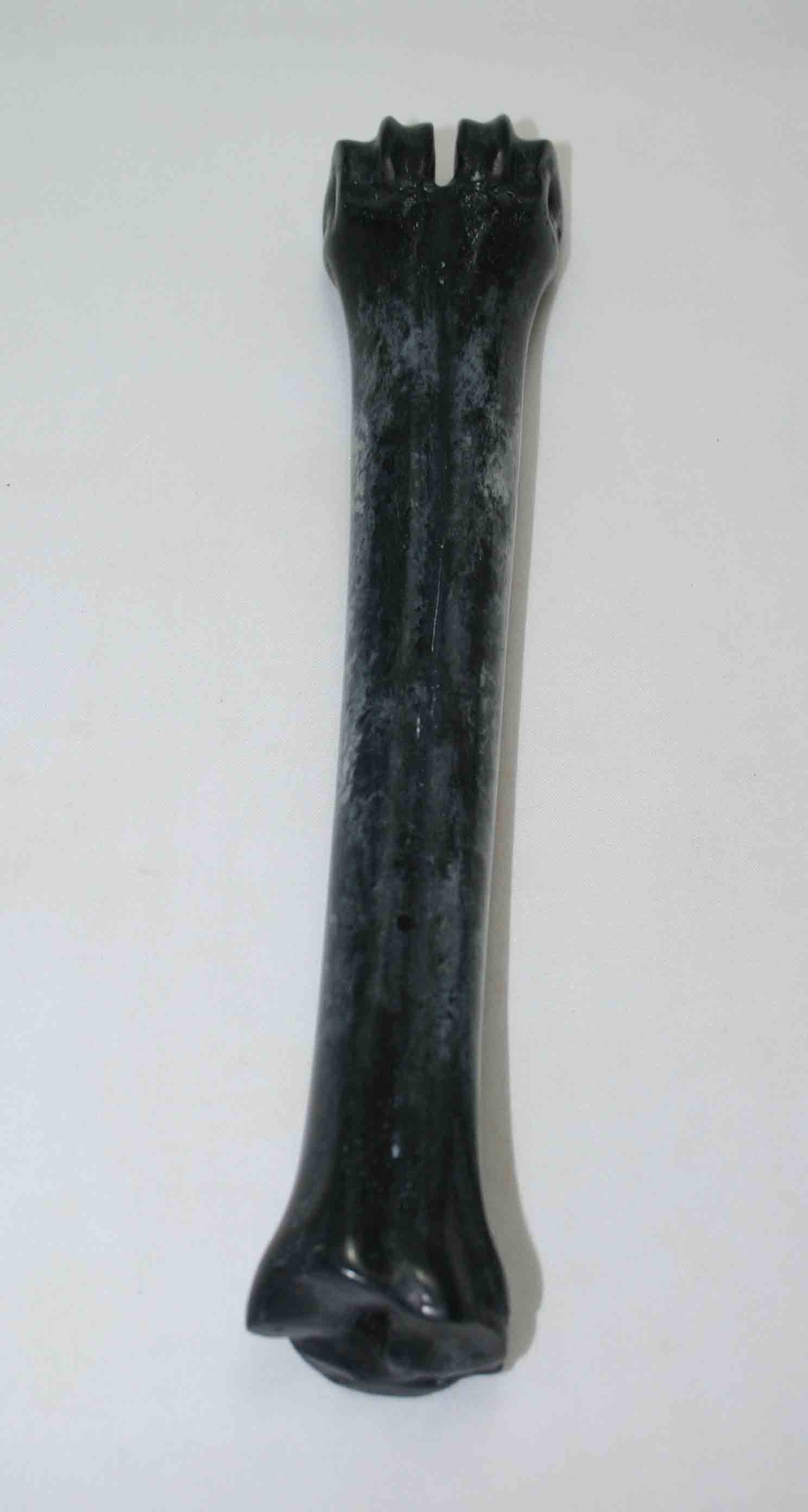NB601NAM16 Wildebeest Bone