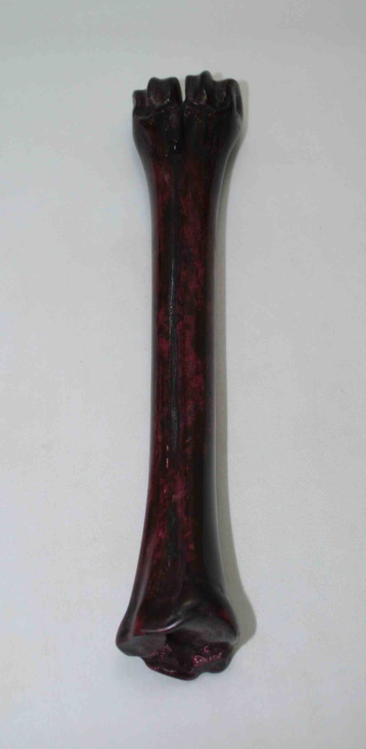 NB601NAM17 Wildebeest Bone