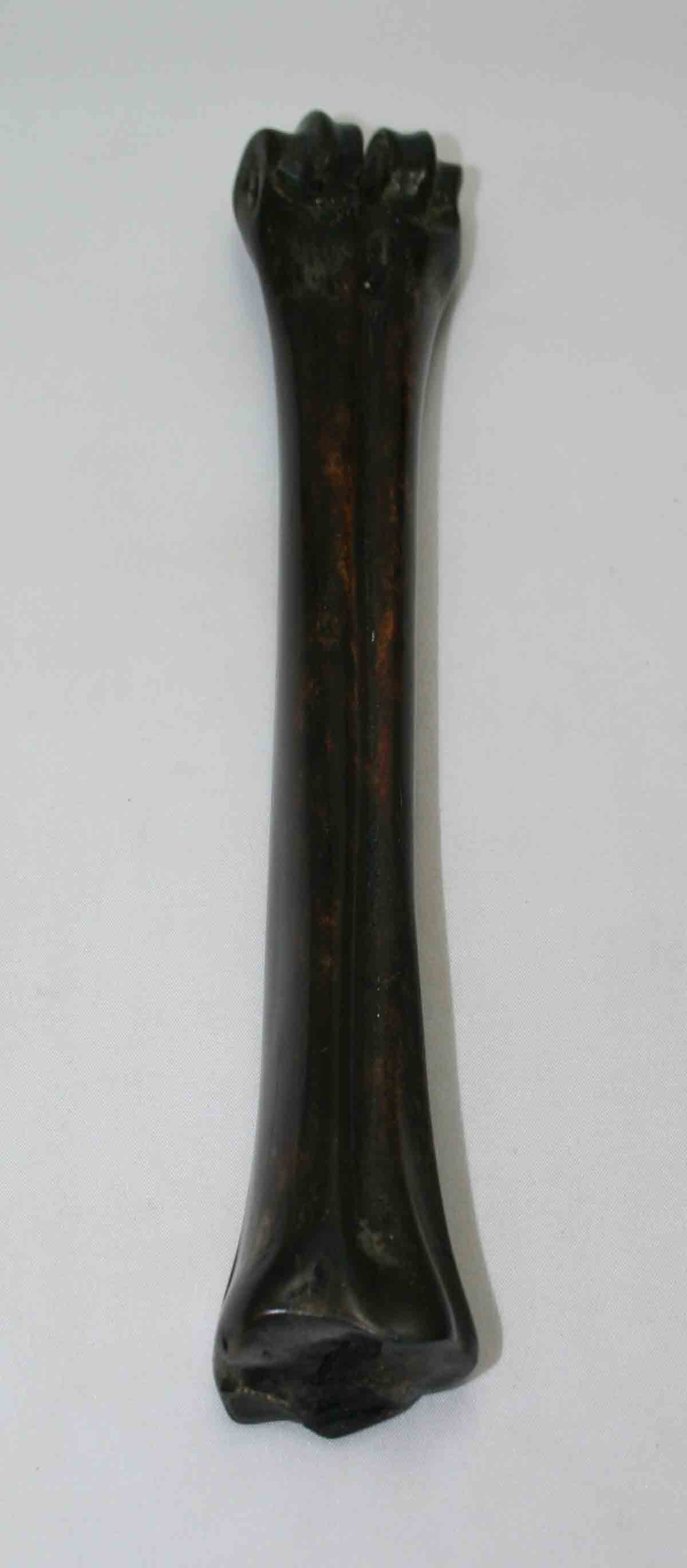 NB601NAM20 Wildebeest Bone