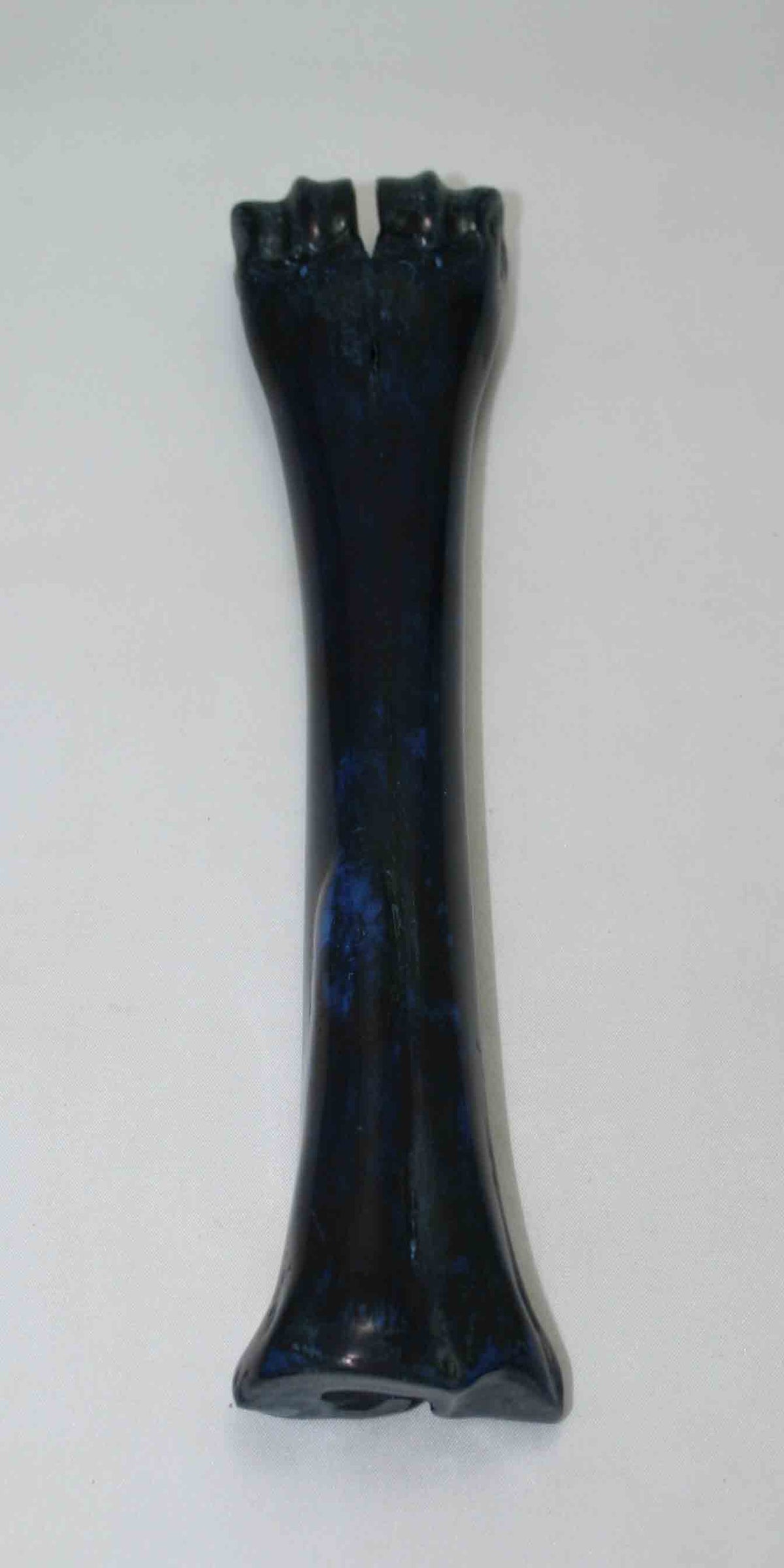 NB601NAM21 Wildebeest Bone