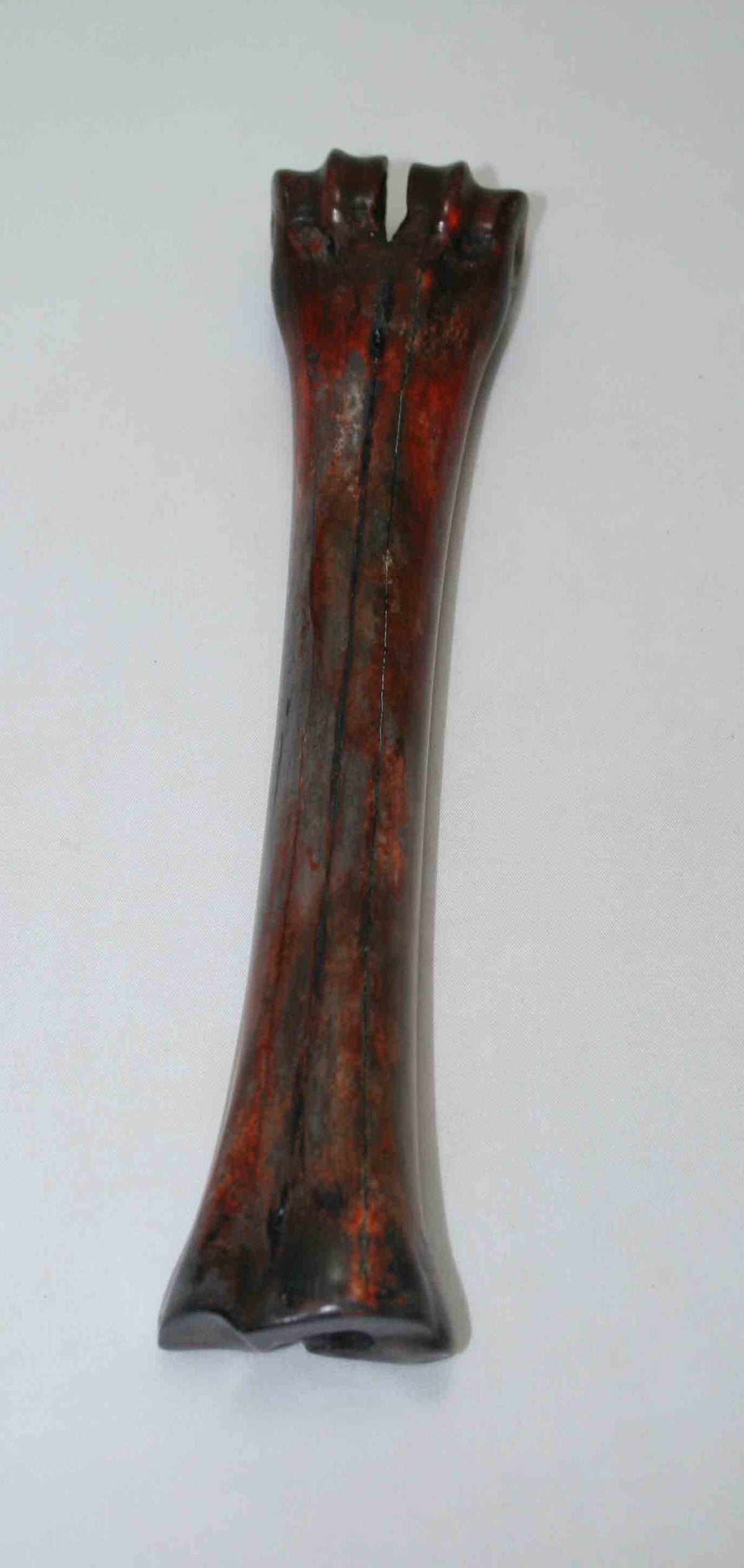 NB601NAM23 Wildebeest Bone