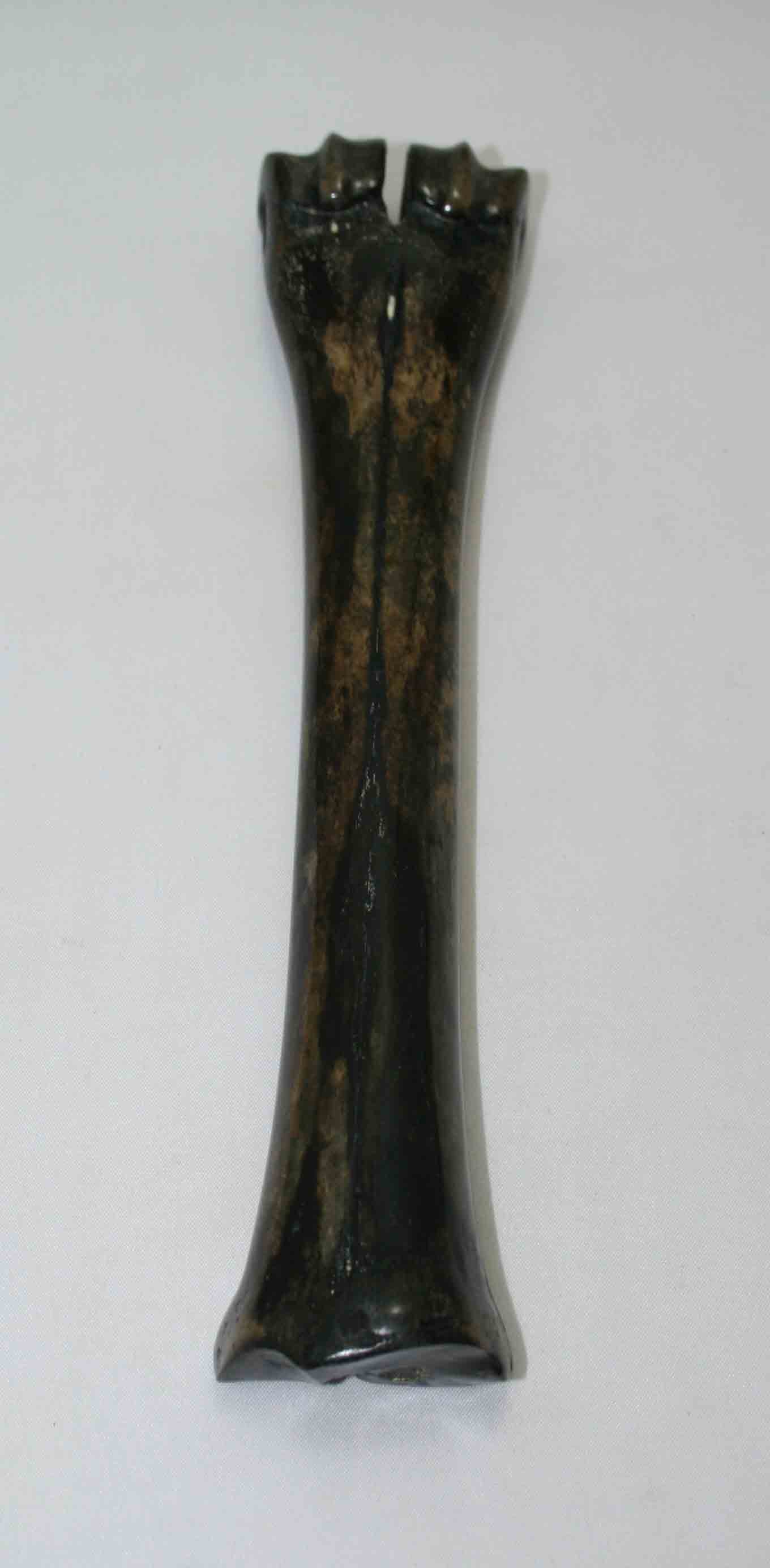 NB601NAM26 Wildebeest Bone