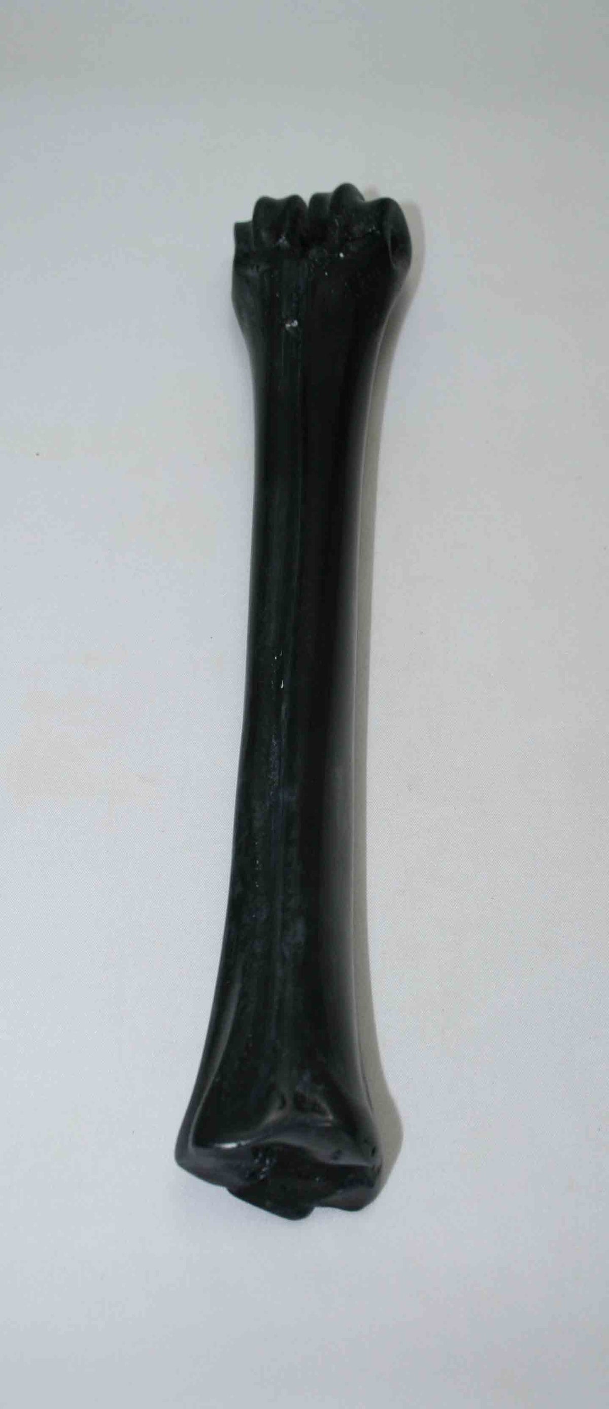 NB601NAM29 Wildebeest Bone