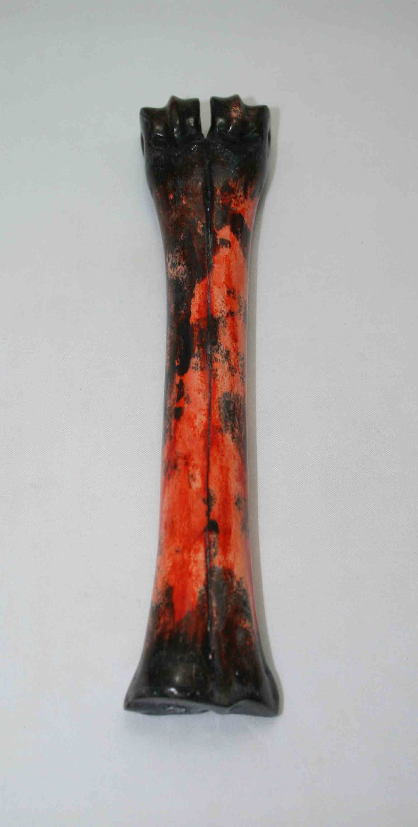 NB601NAM2 Wildebeest Bone