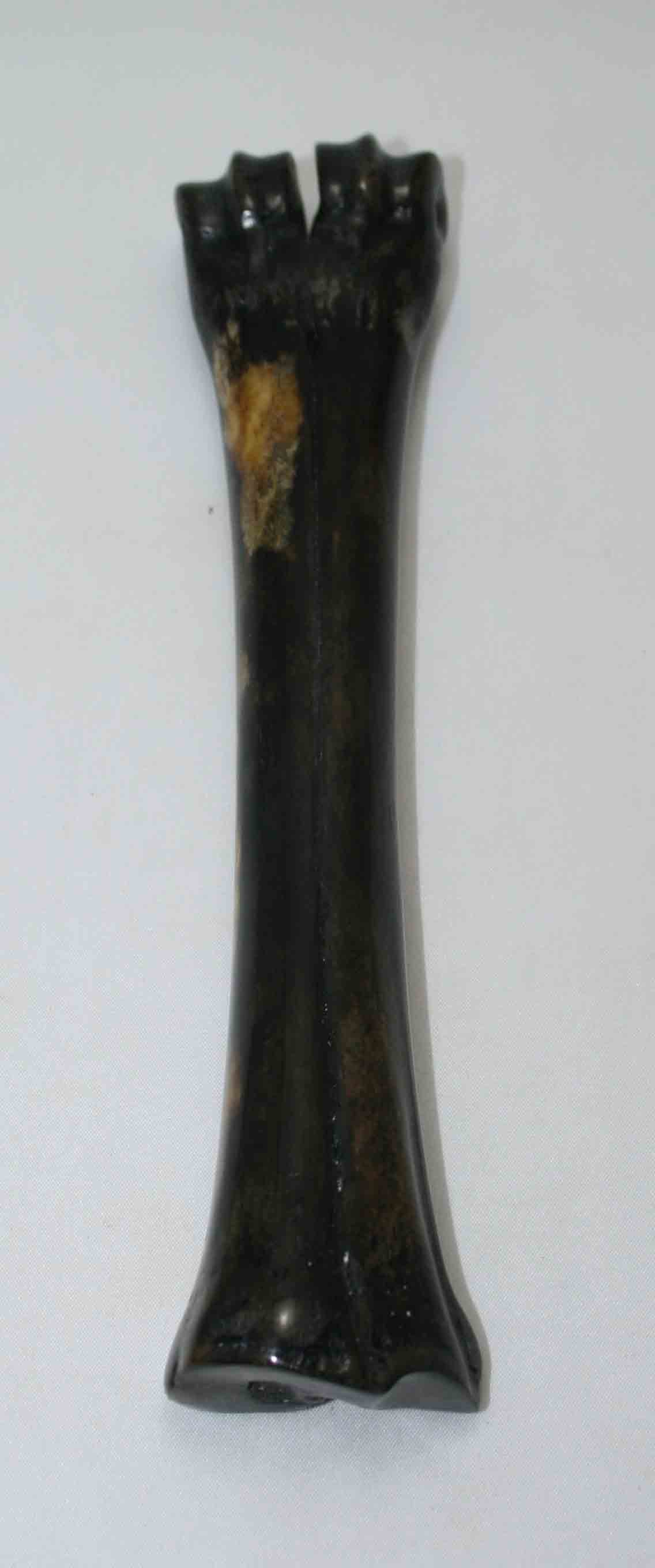 NB601NAM35 Wildebeest Bone