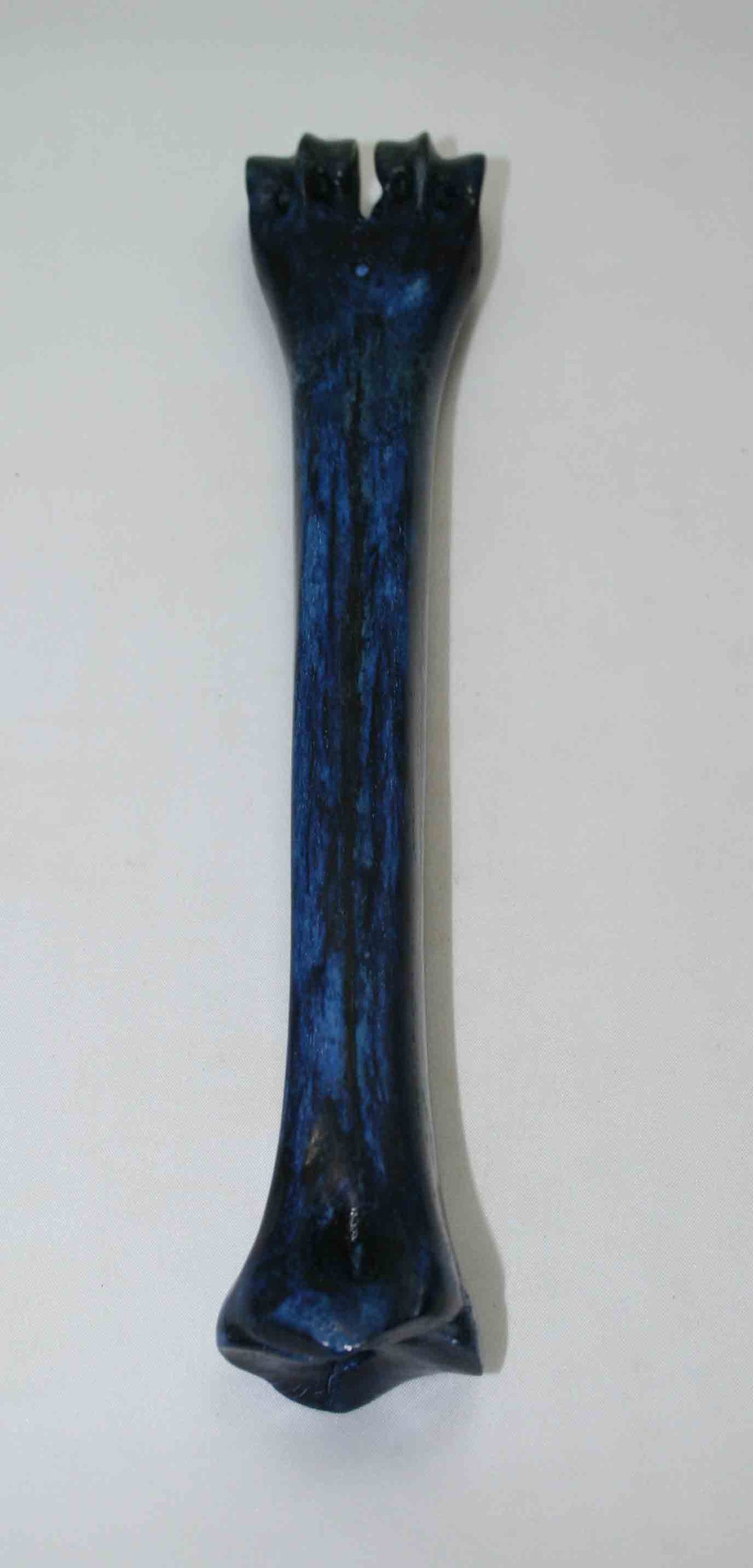 NB601NAM36 Wildebeest Bone