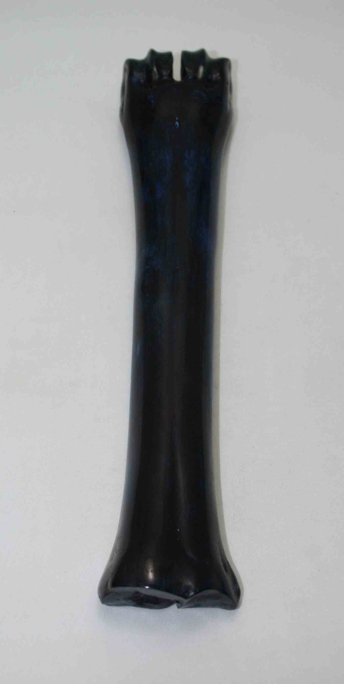 NB601NAM38 Wildebeest Bone