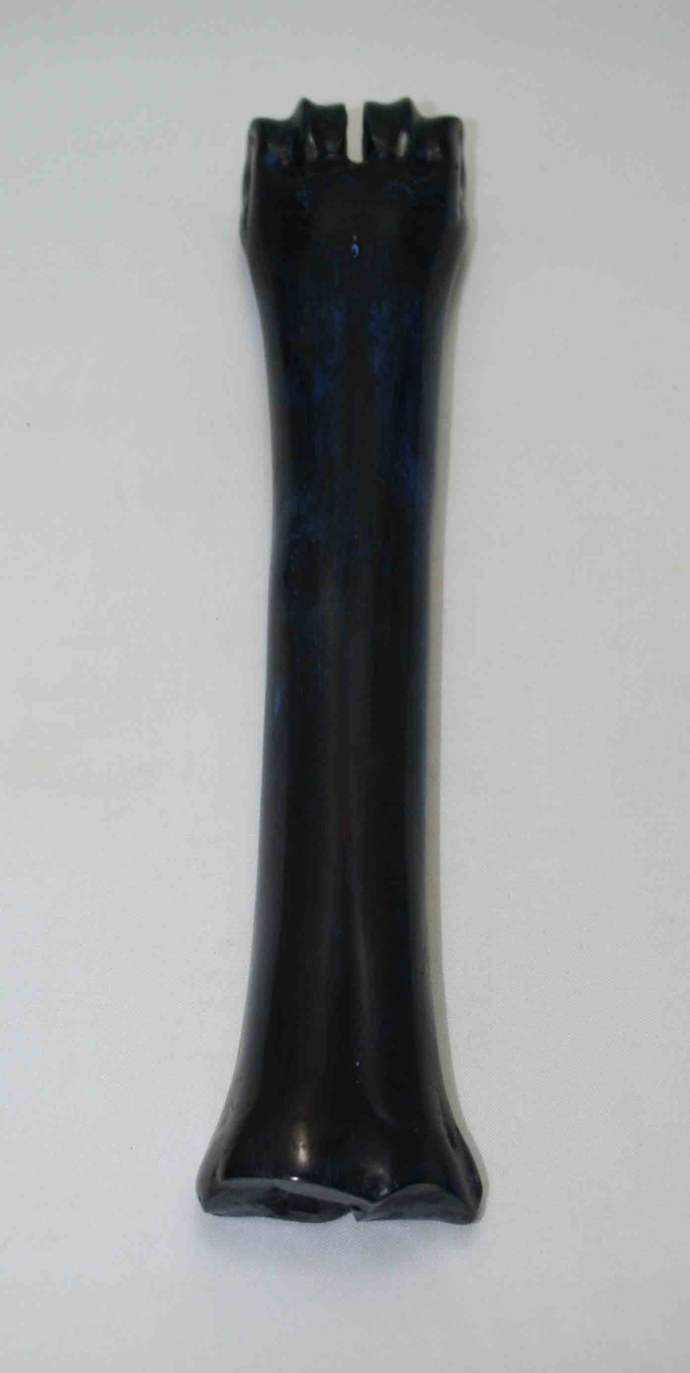NB601NAM38 Wildebeest Bone